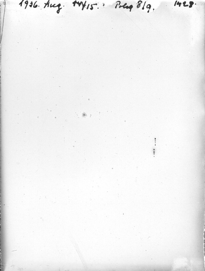 Plate preview