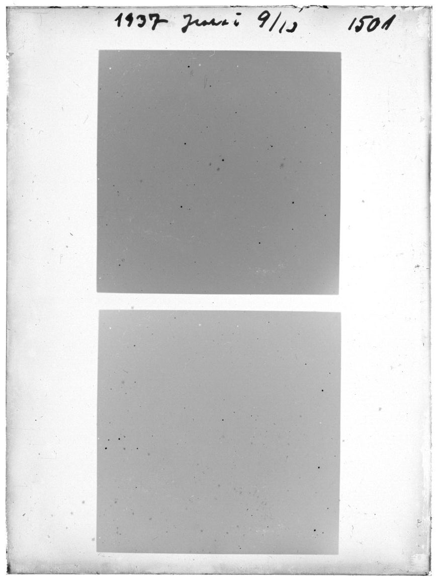 Plate preview