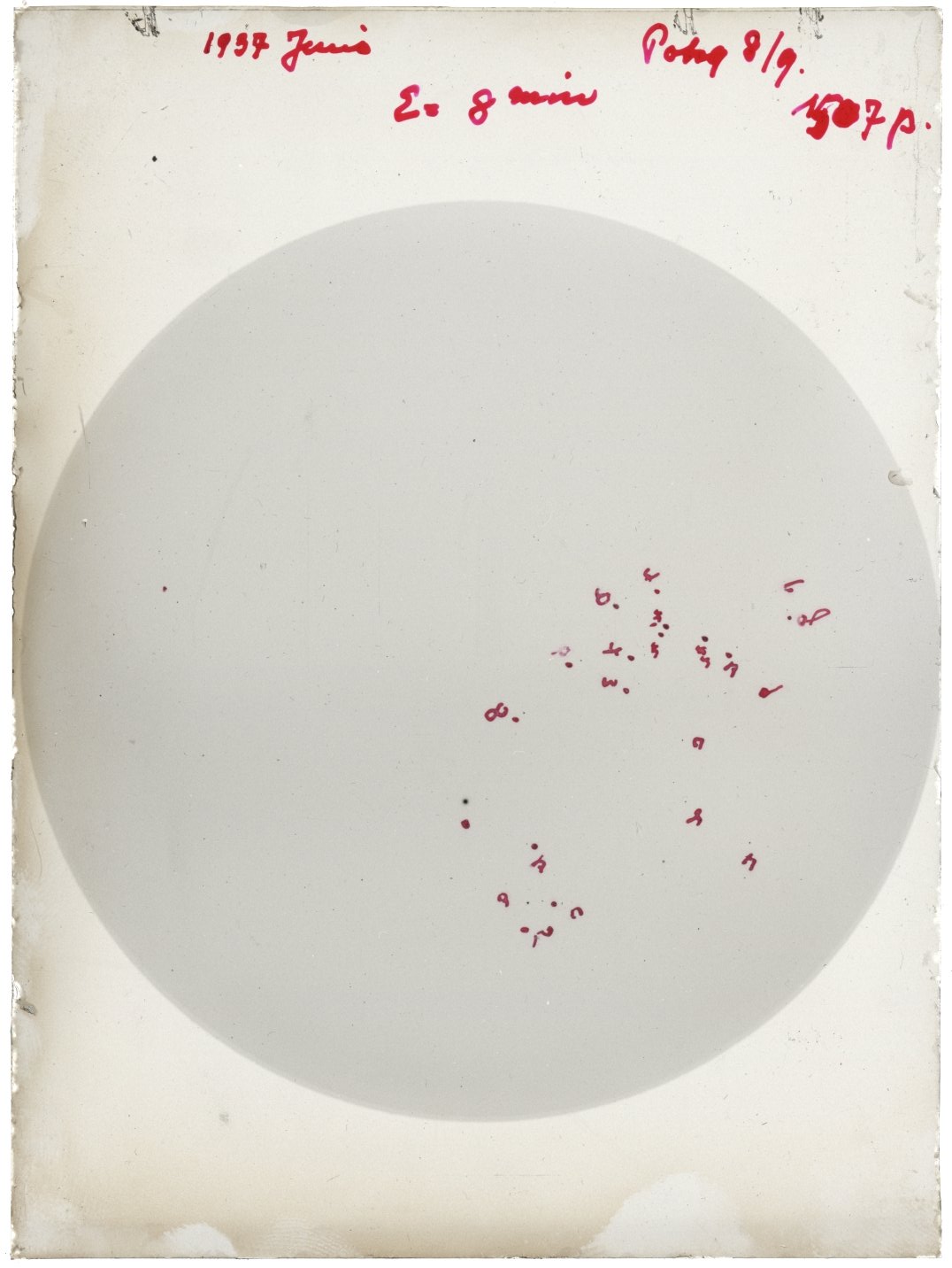 Plate preview