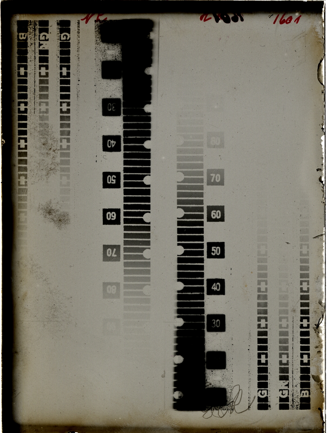 Plate preview