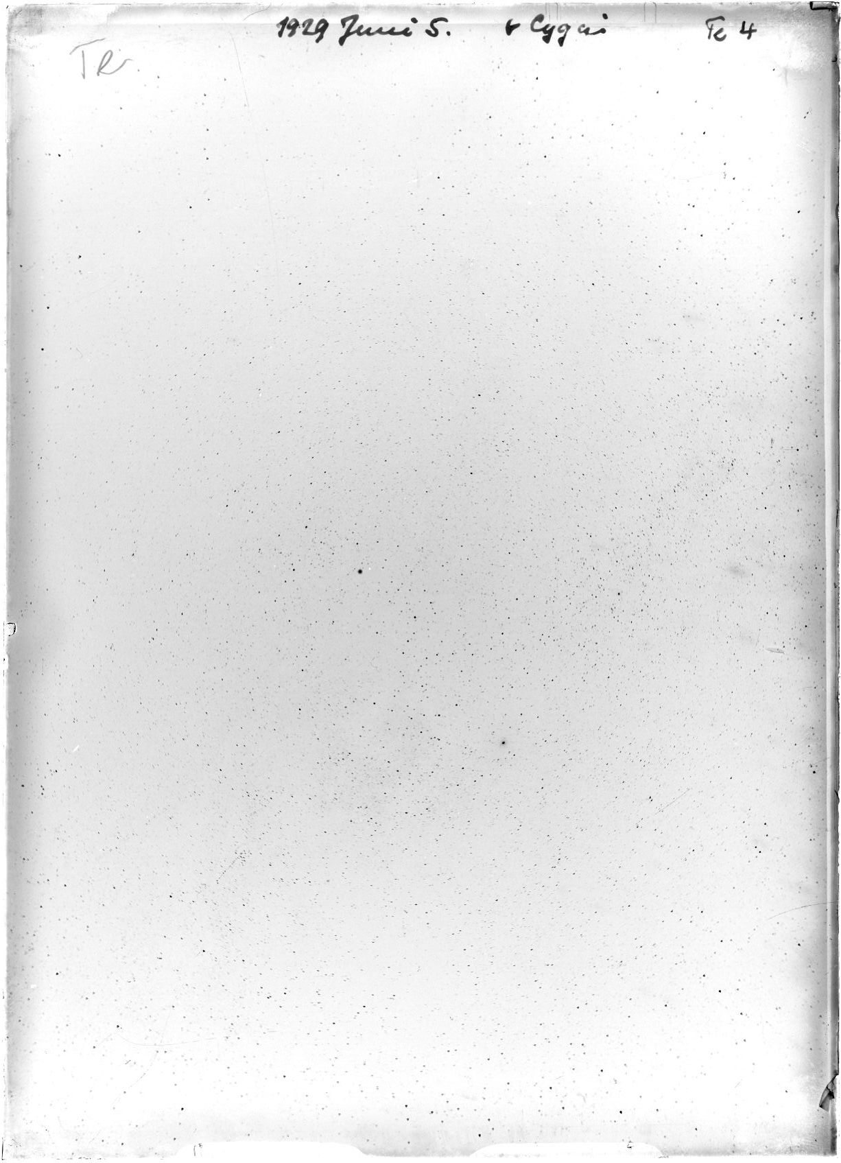 Plate preview