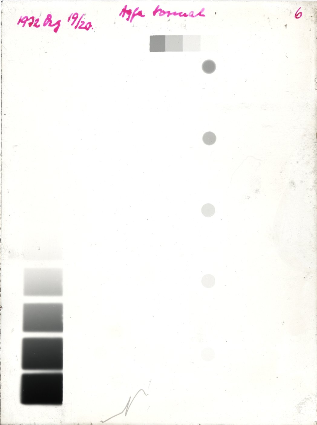 Plate preview