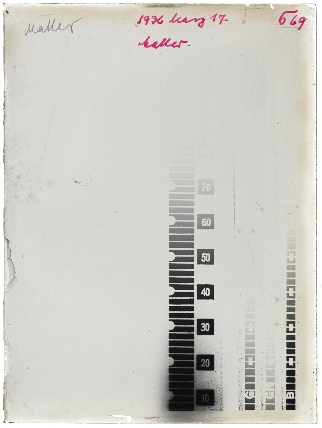 Plate preview