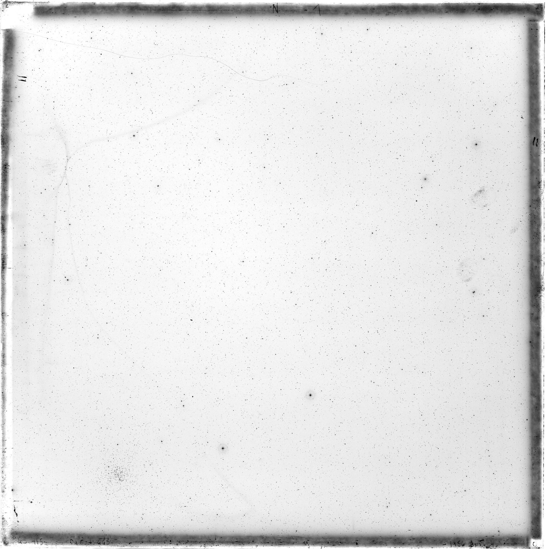 Plate preview