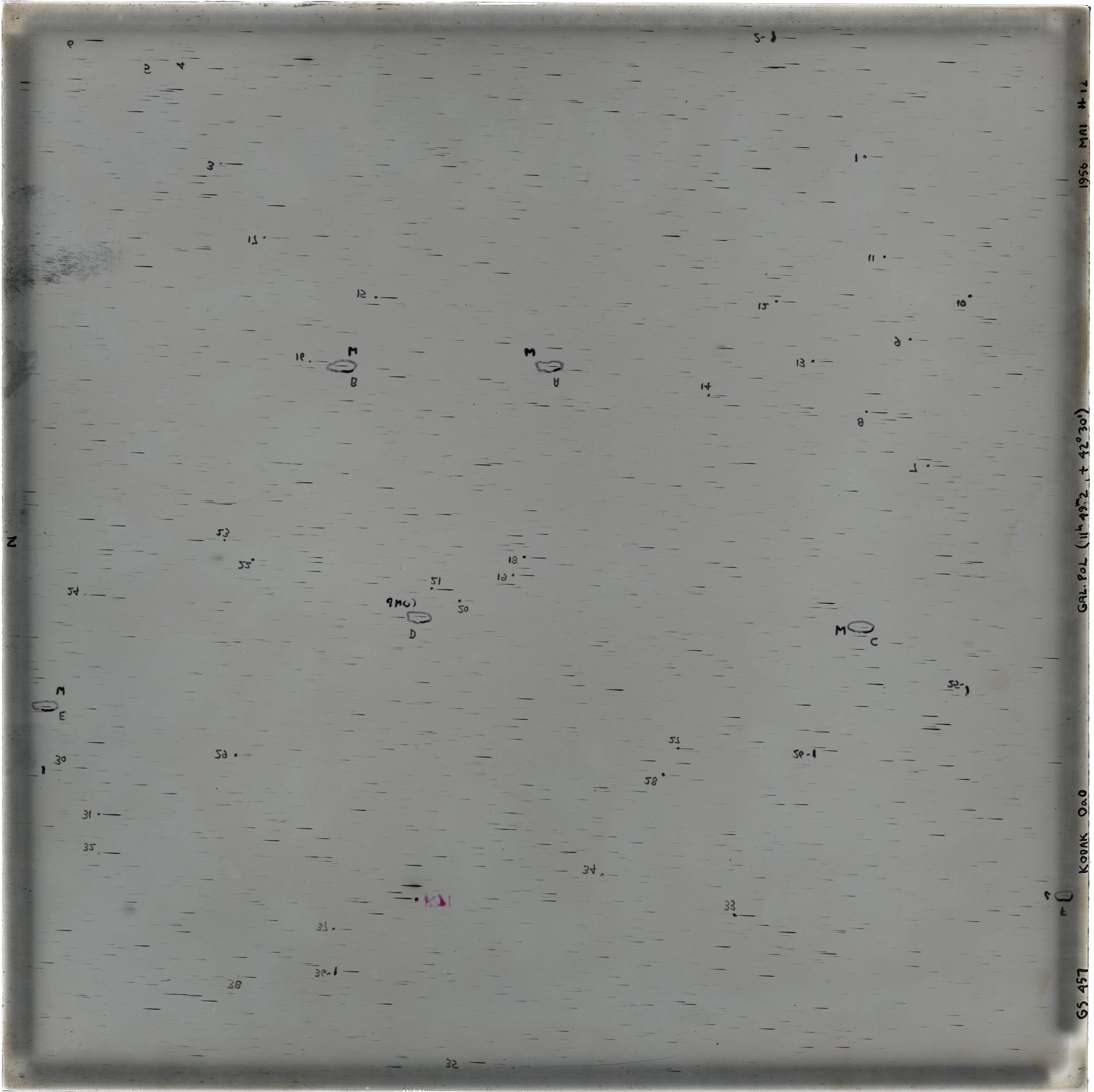 Plate preview
