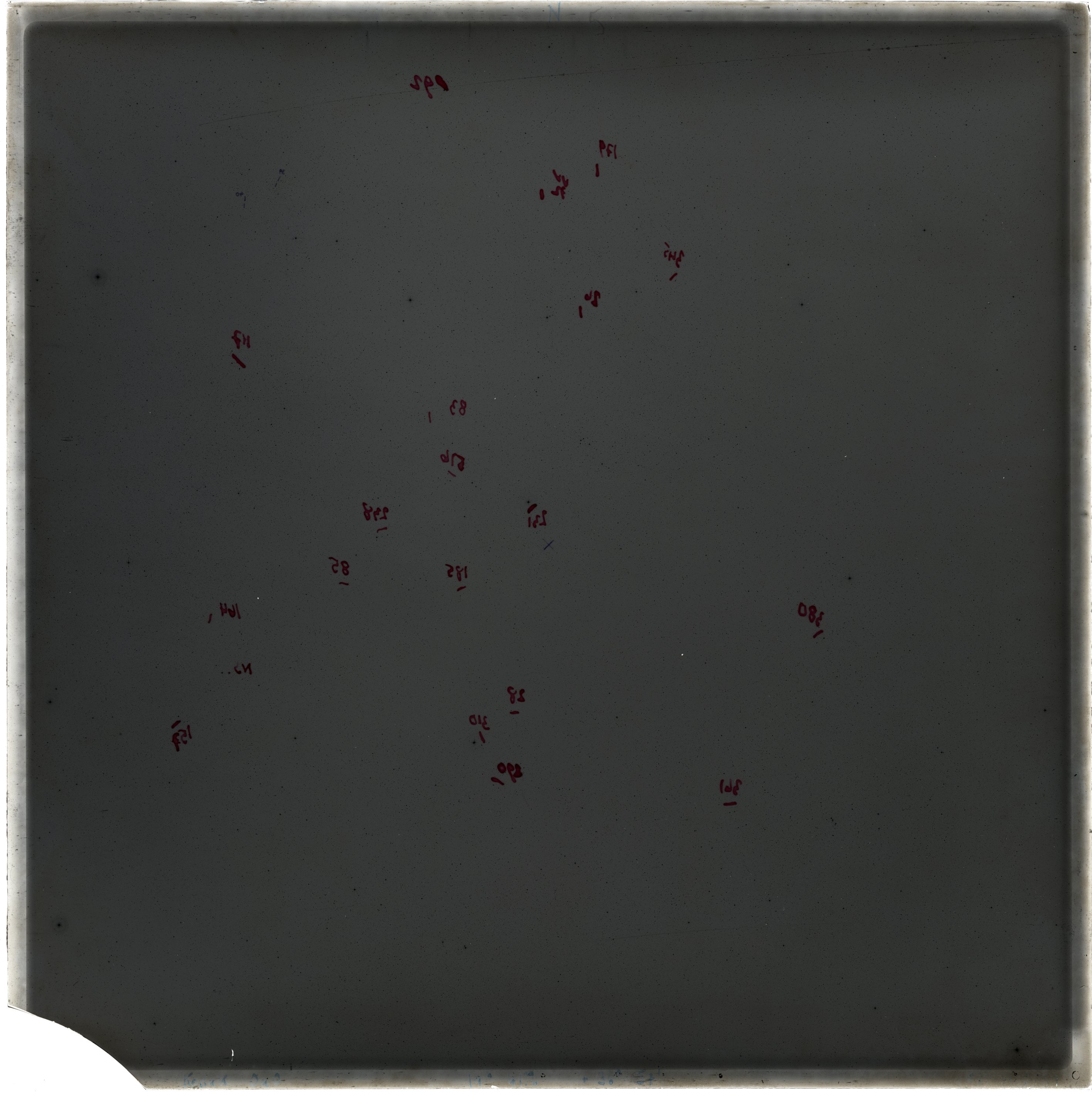 Plate preview