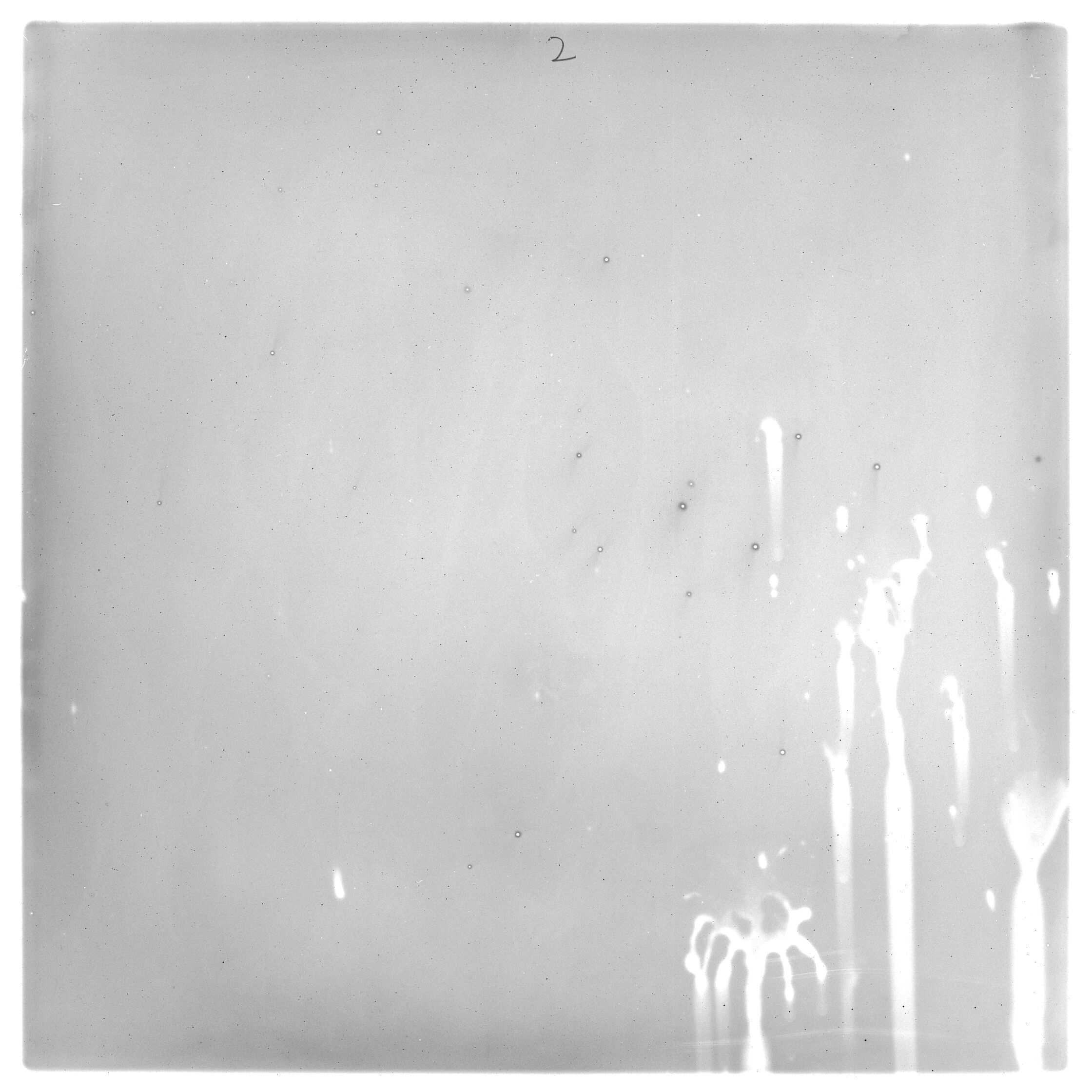 Plate preview