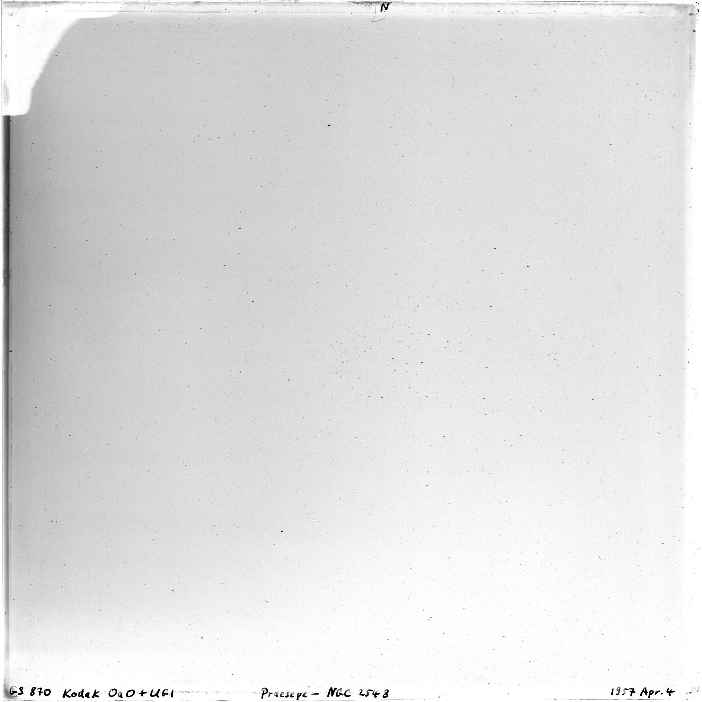 Plate preview