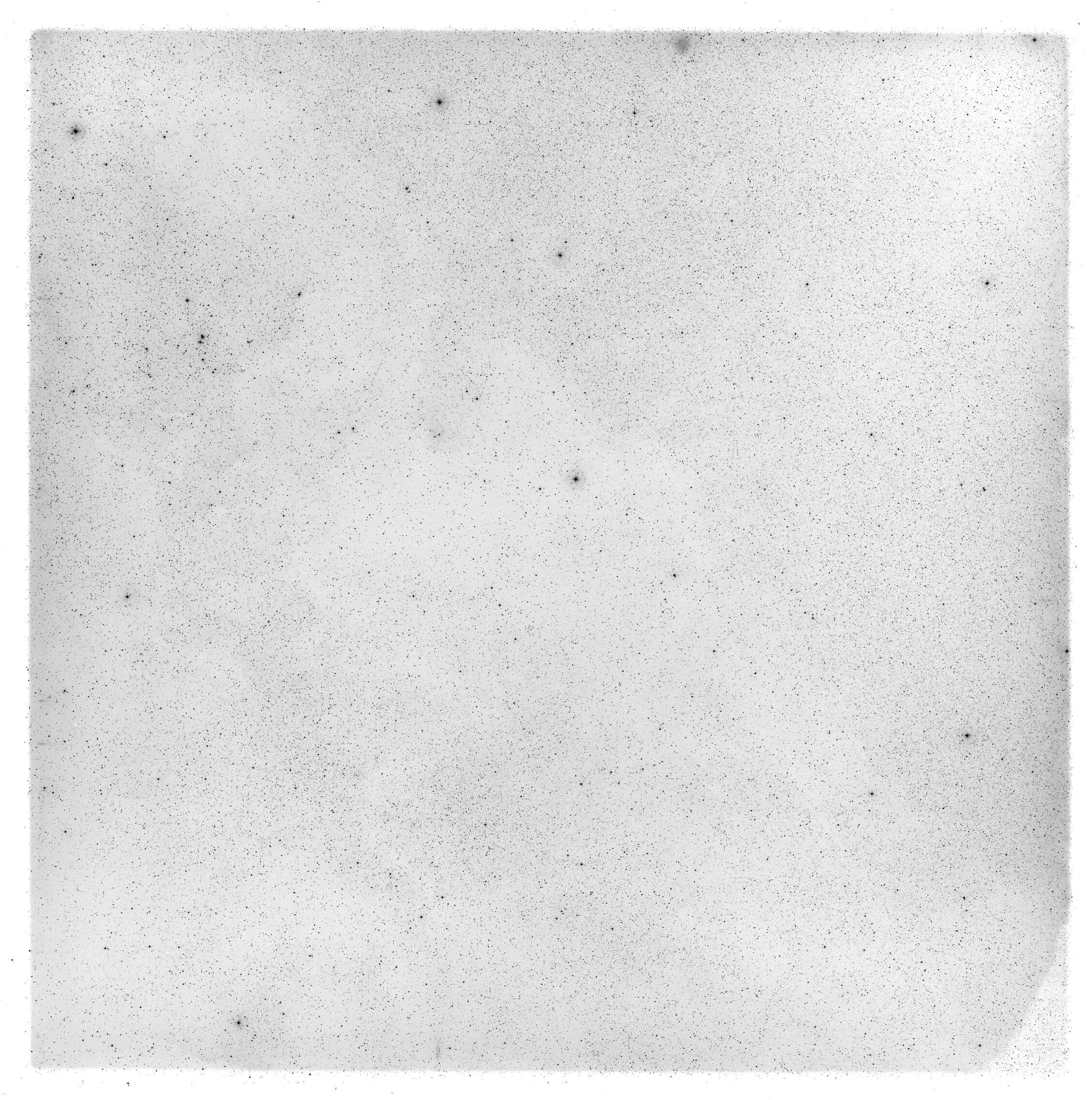 Plate preview