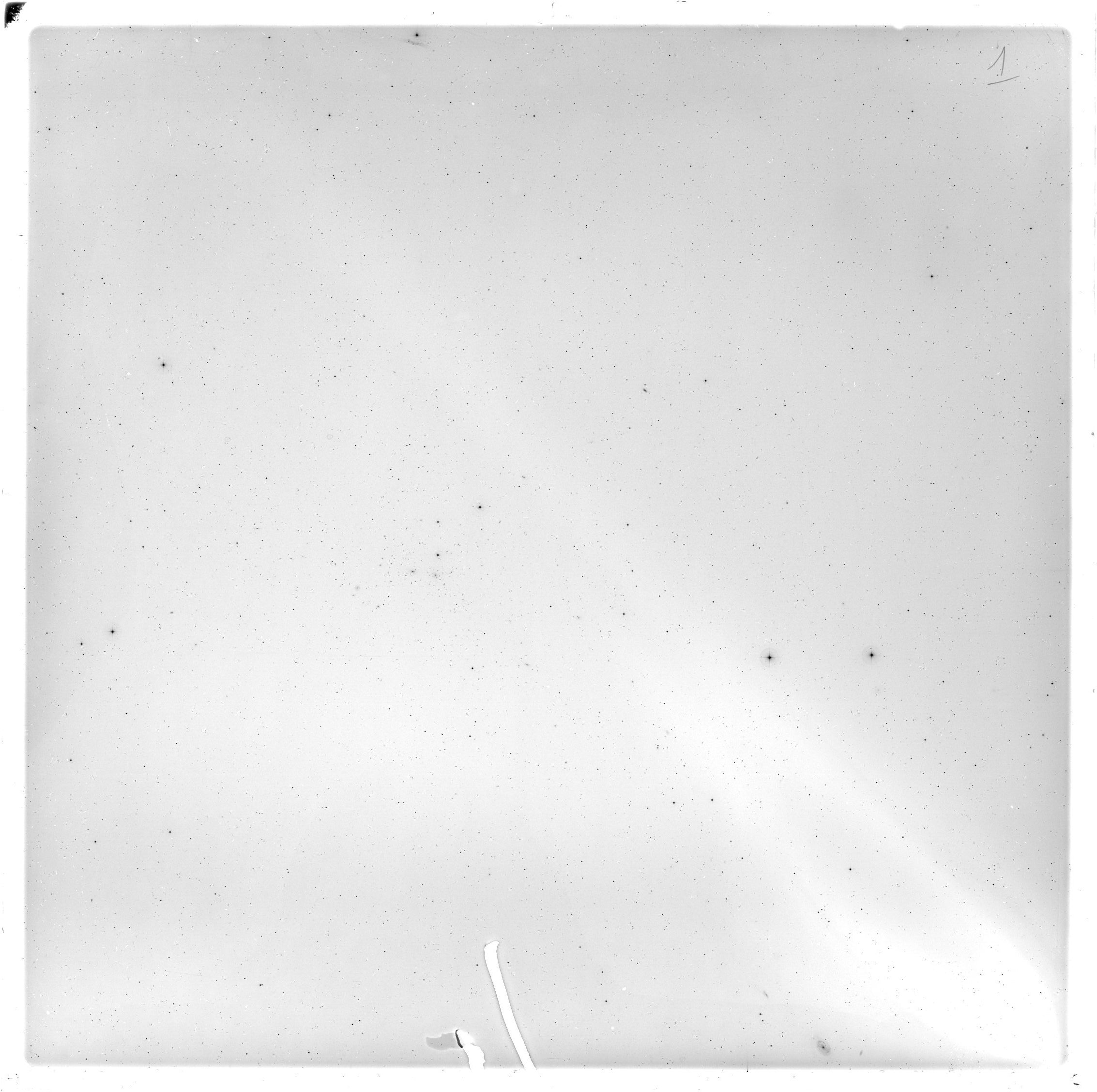 Plate preview