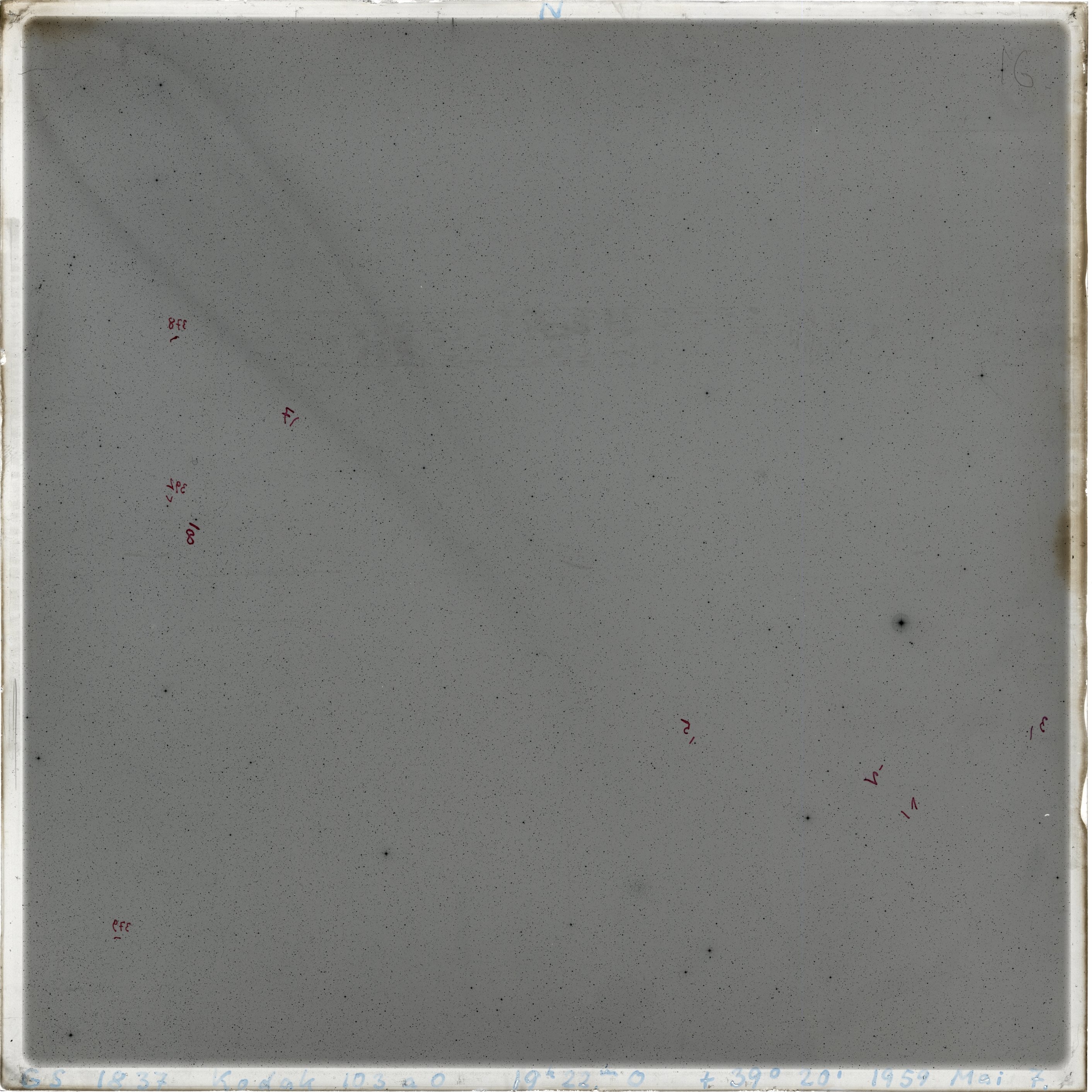 Plate preview