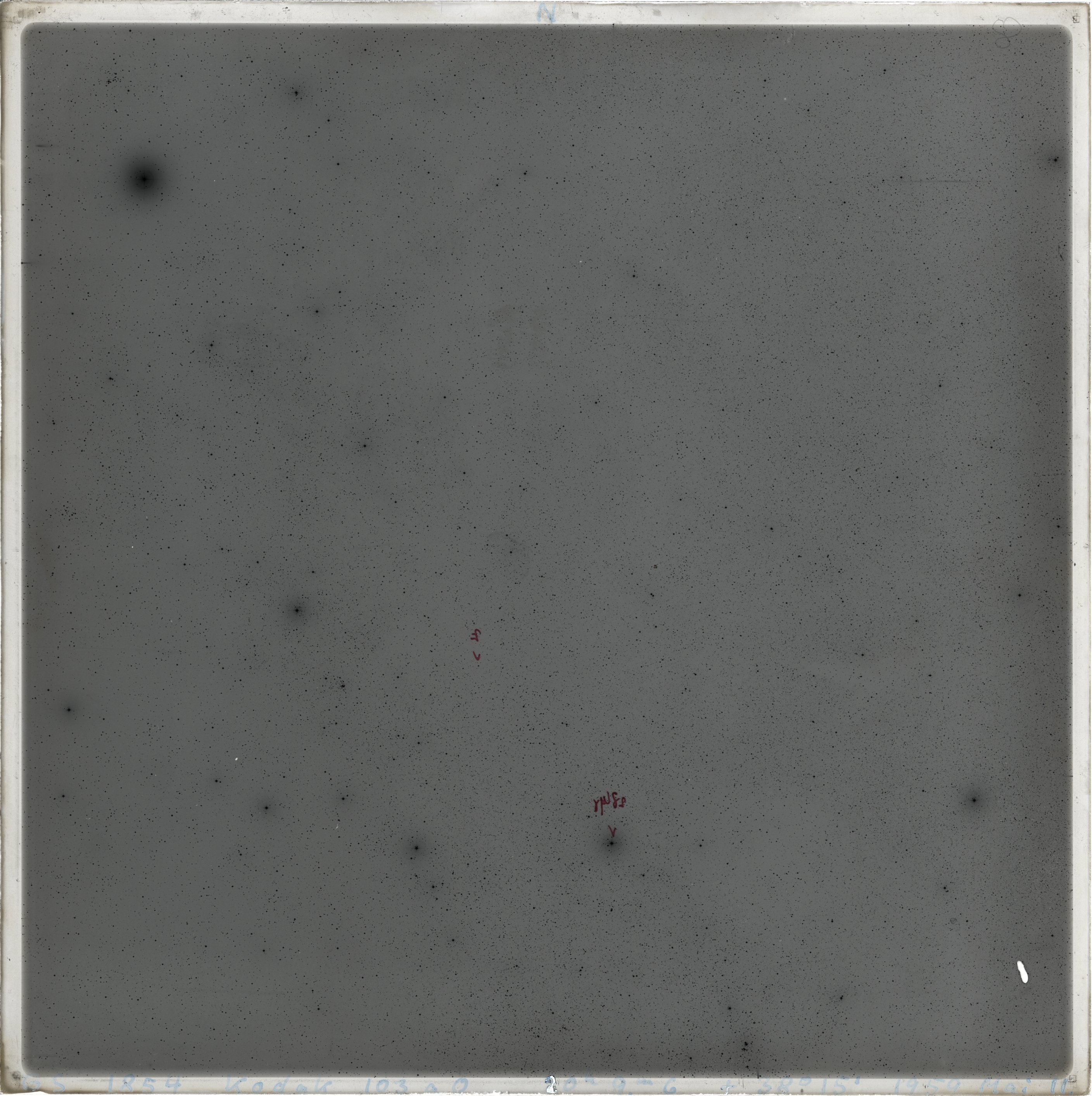 Plate preview