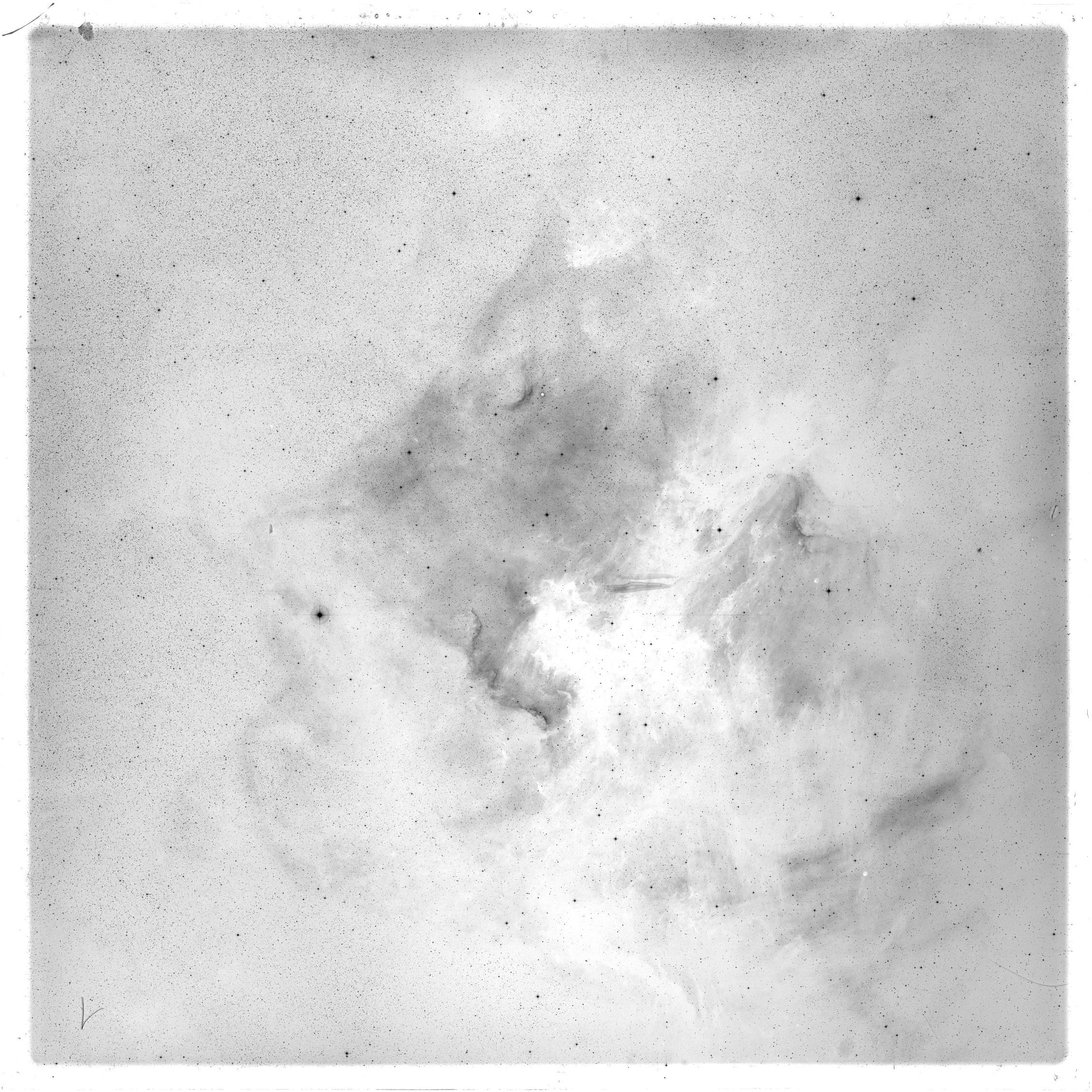 Plate preview