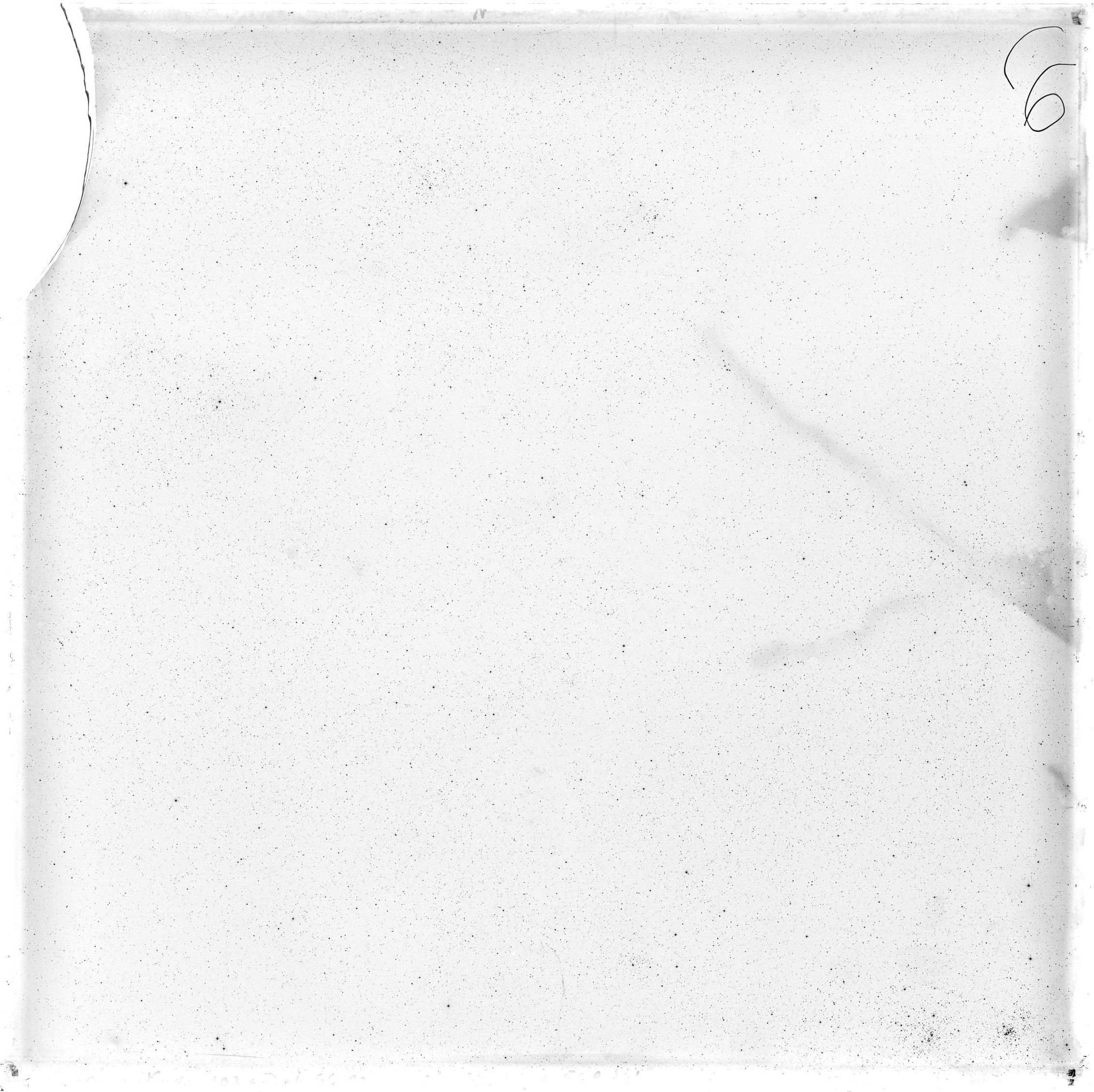 Plate preview