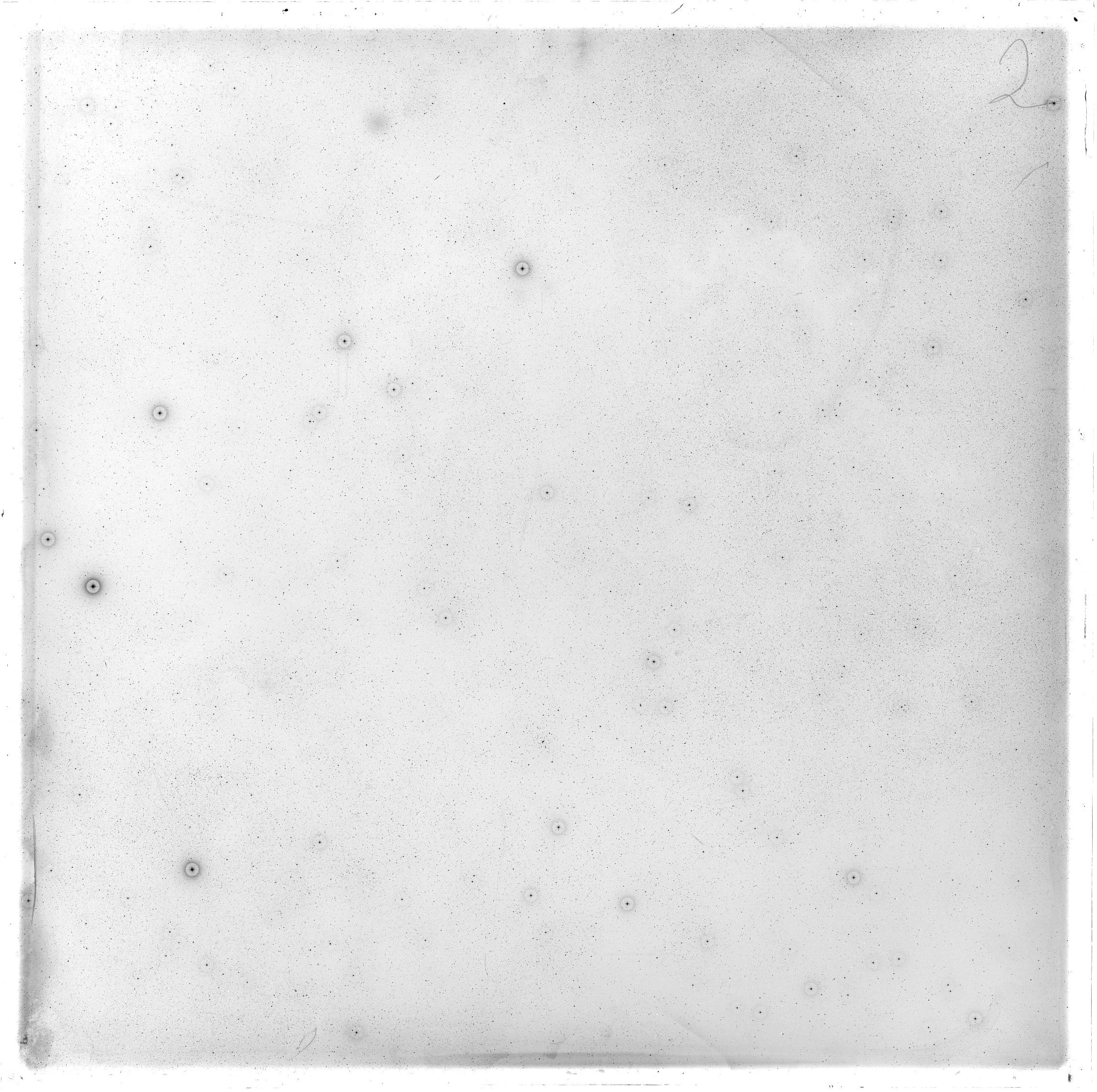 Plate preview