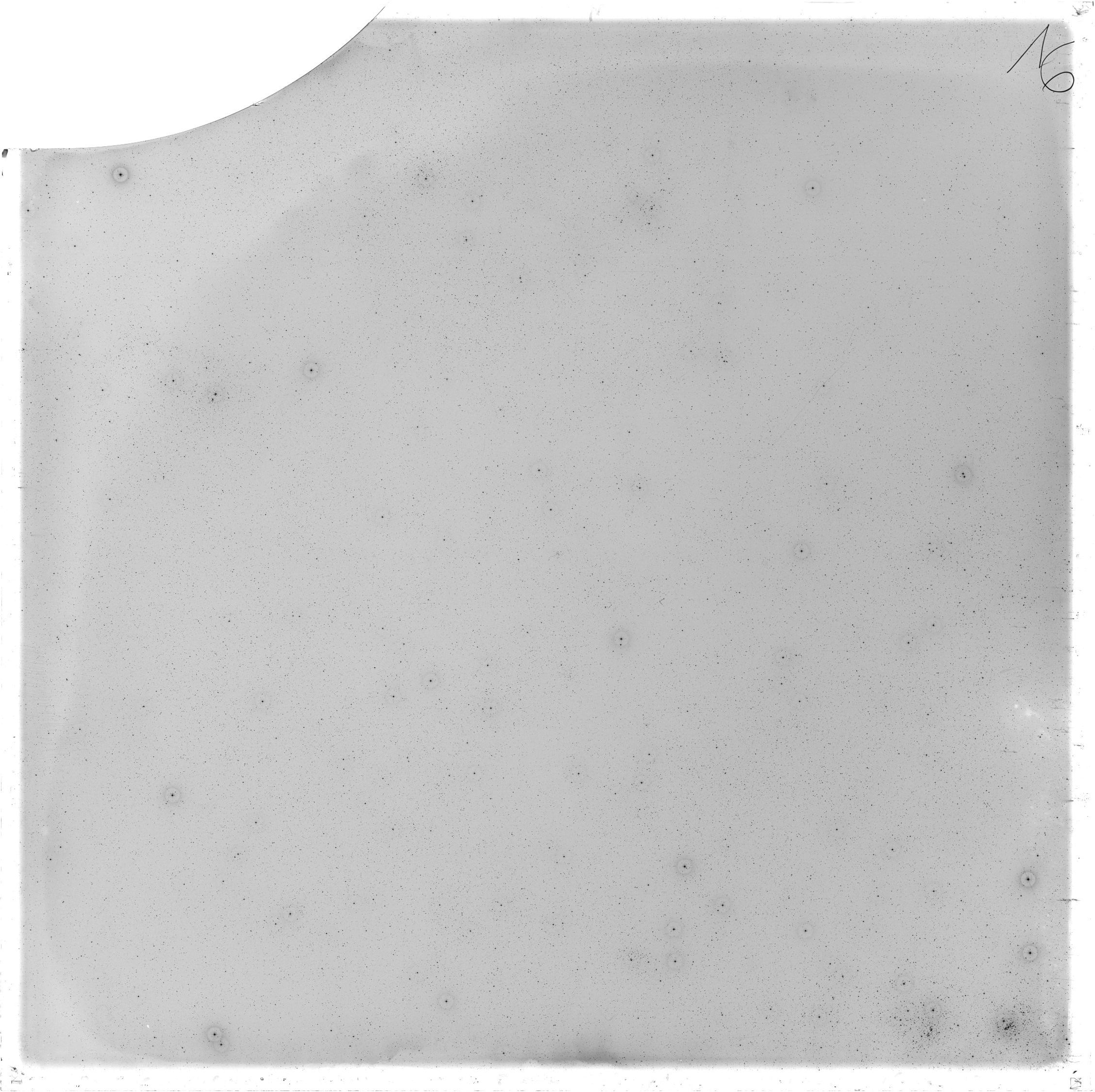 Plate preview