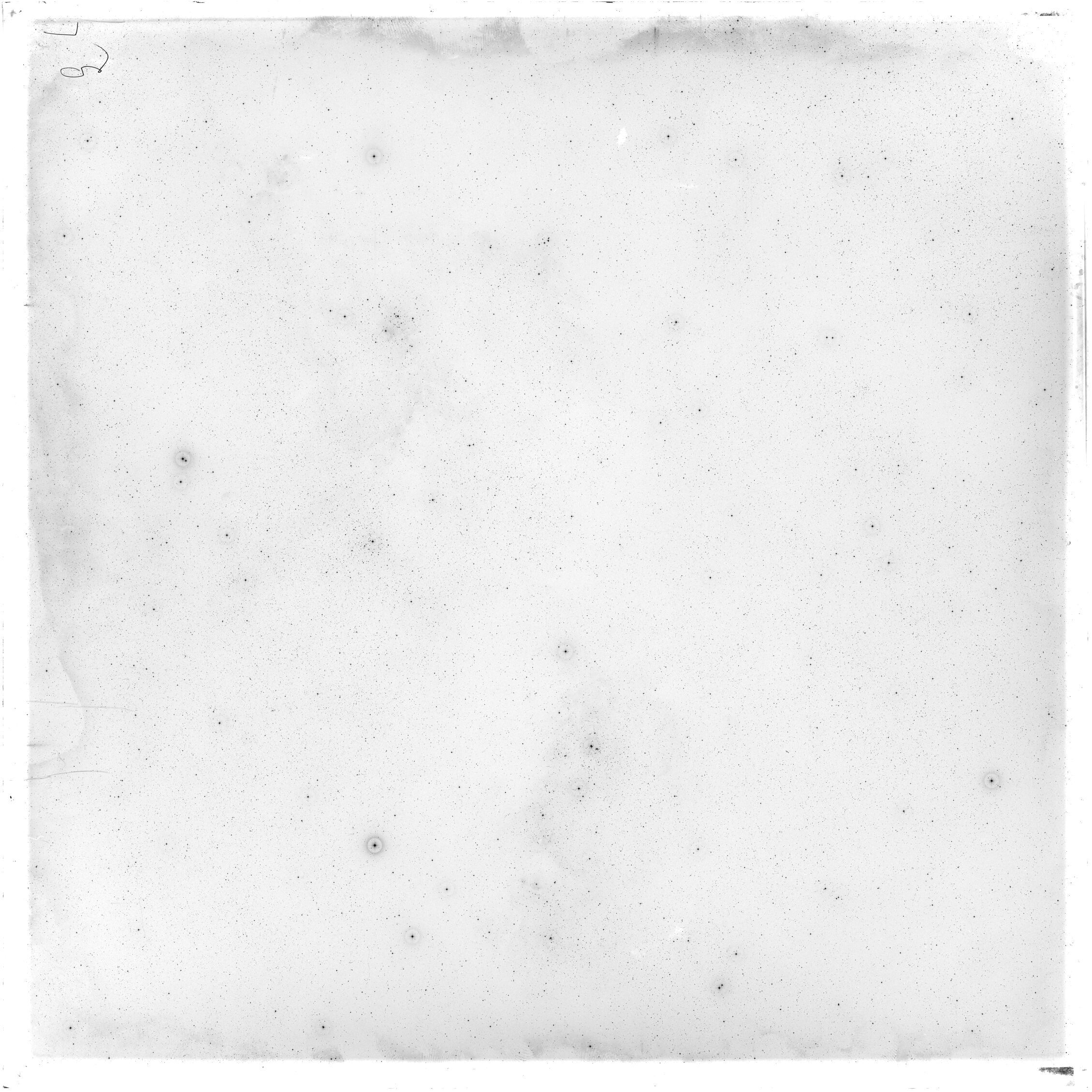 Plate preview
