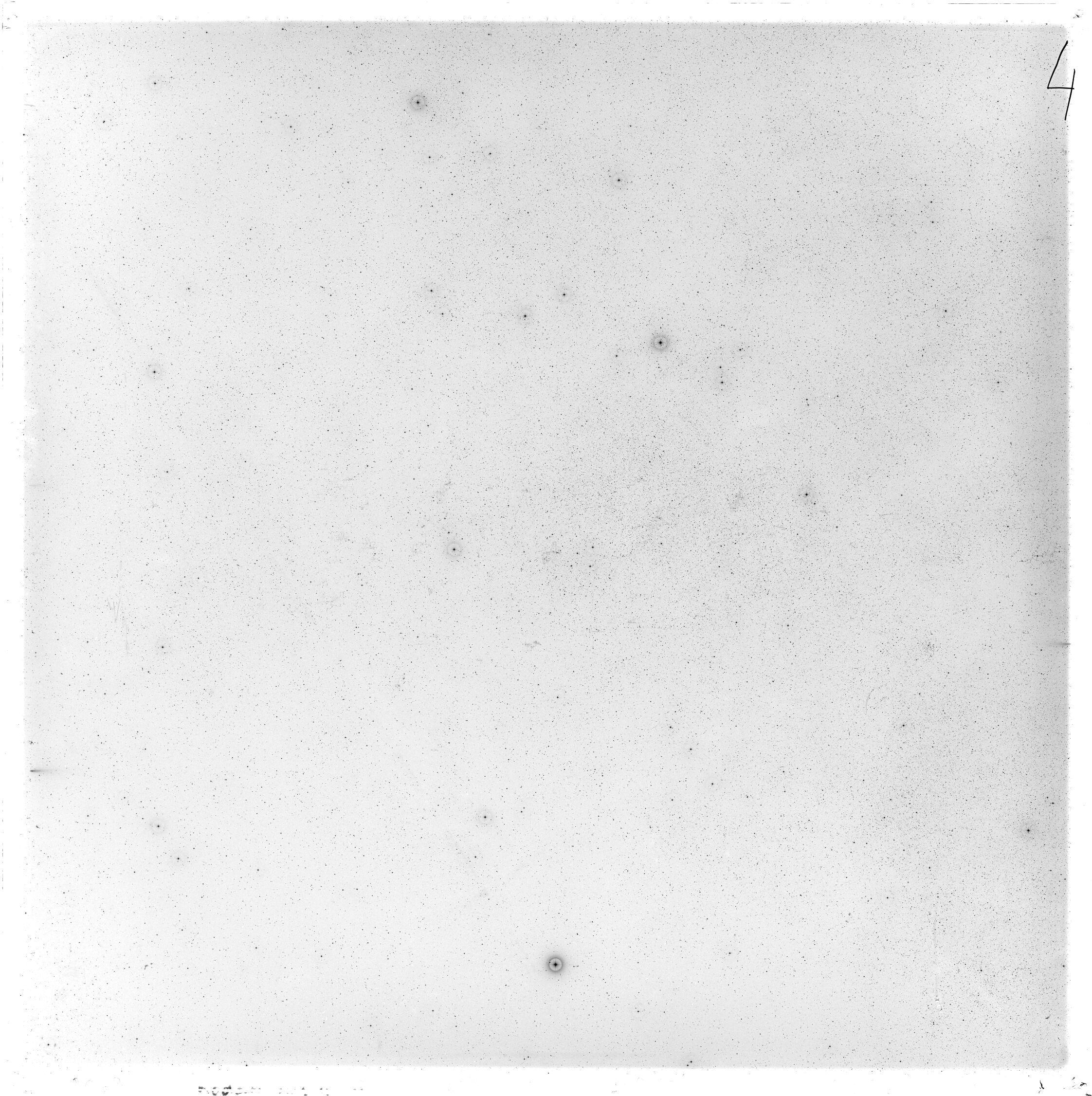 Plate preview
