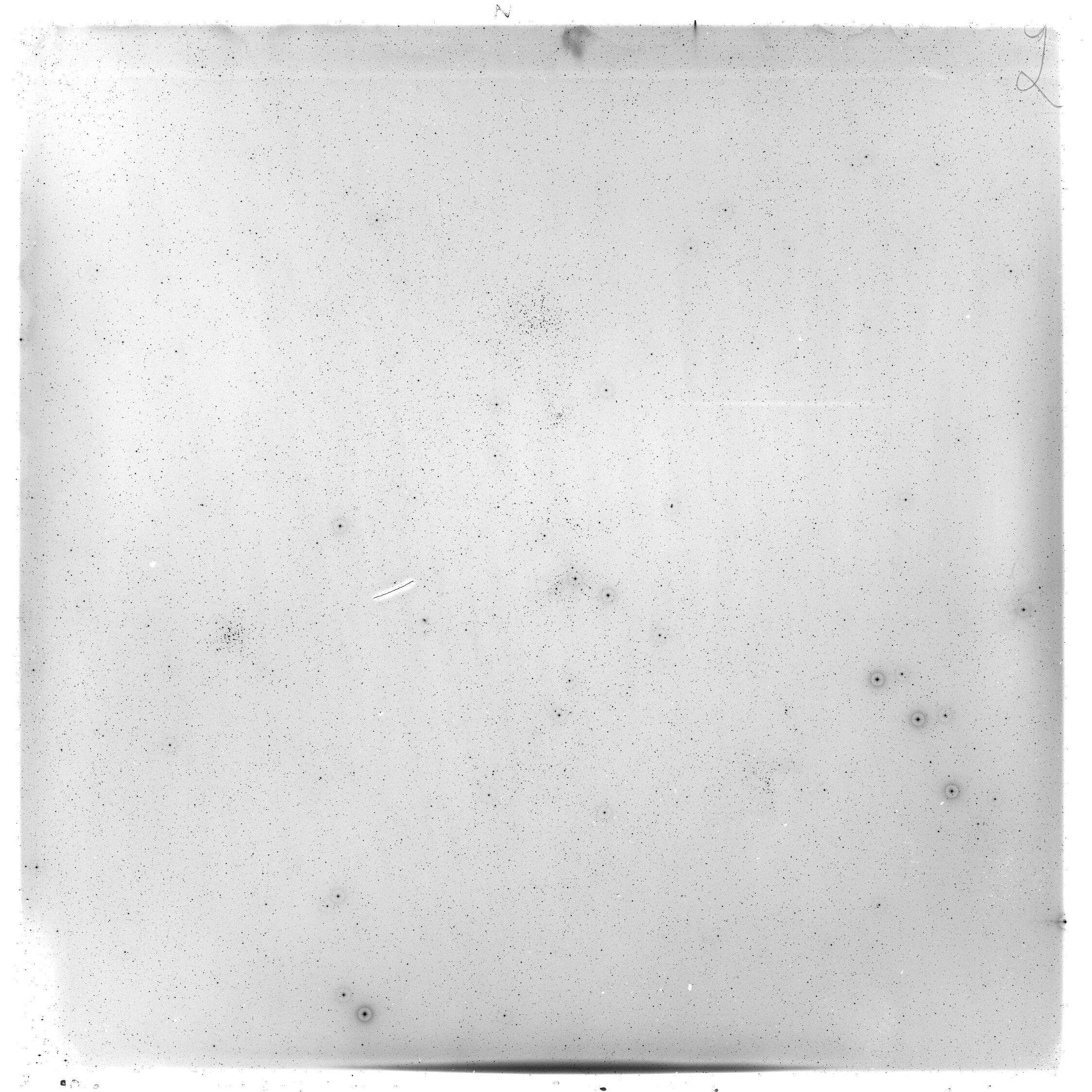 Plate preview
