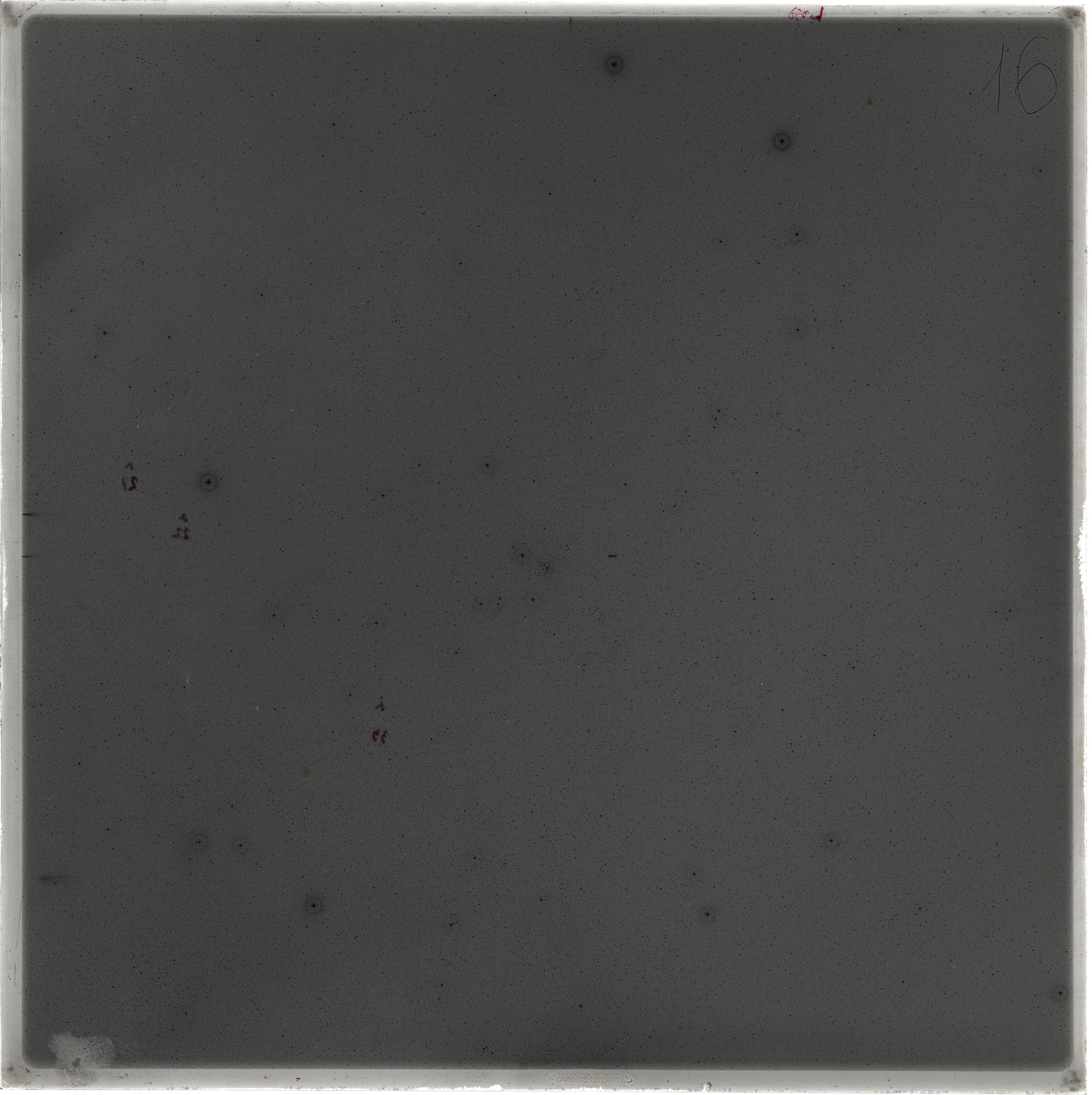 Plate preview