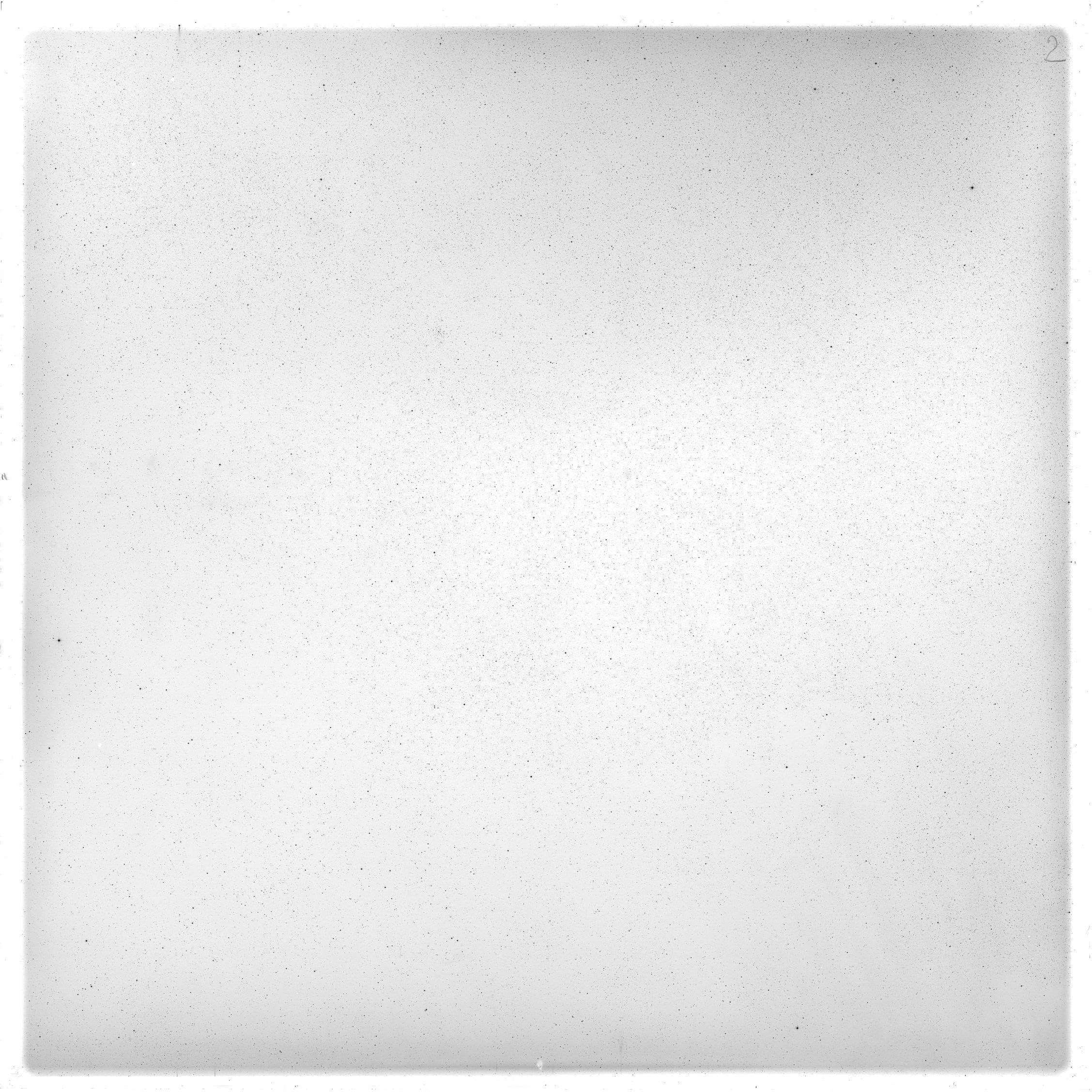 Plate preview
