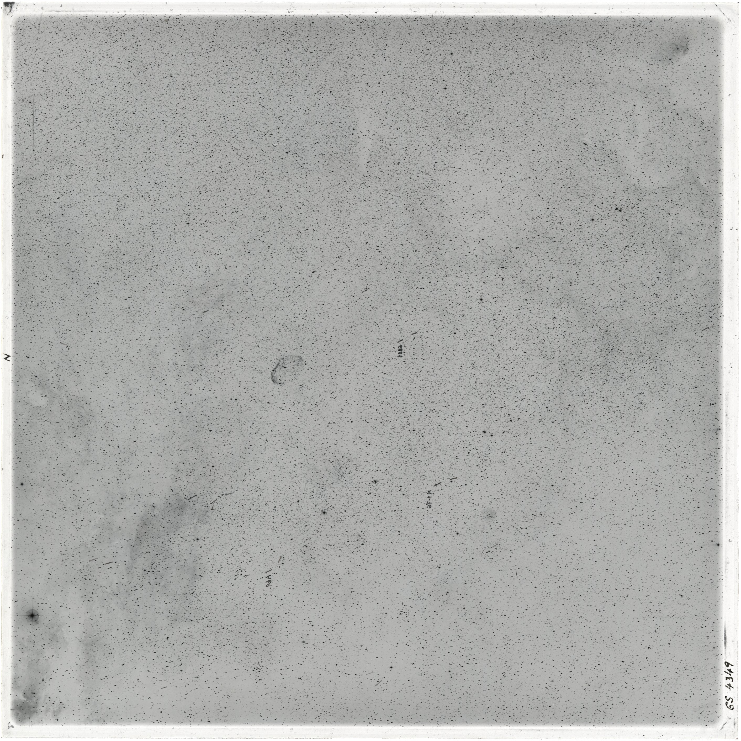 Plate preview