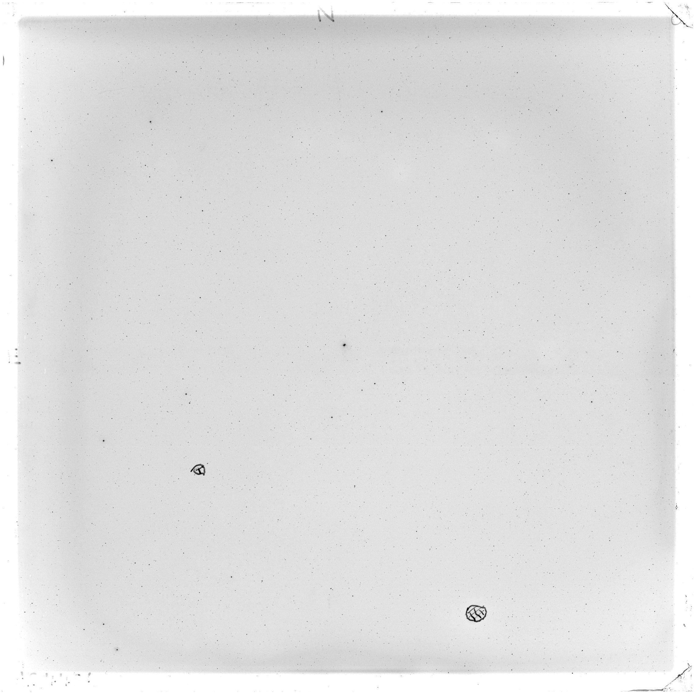 Plate preview