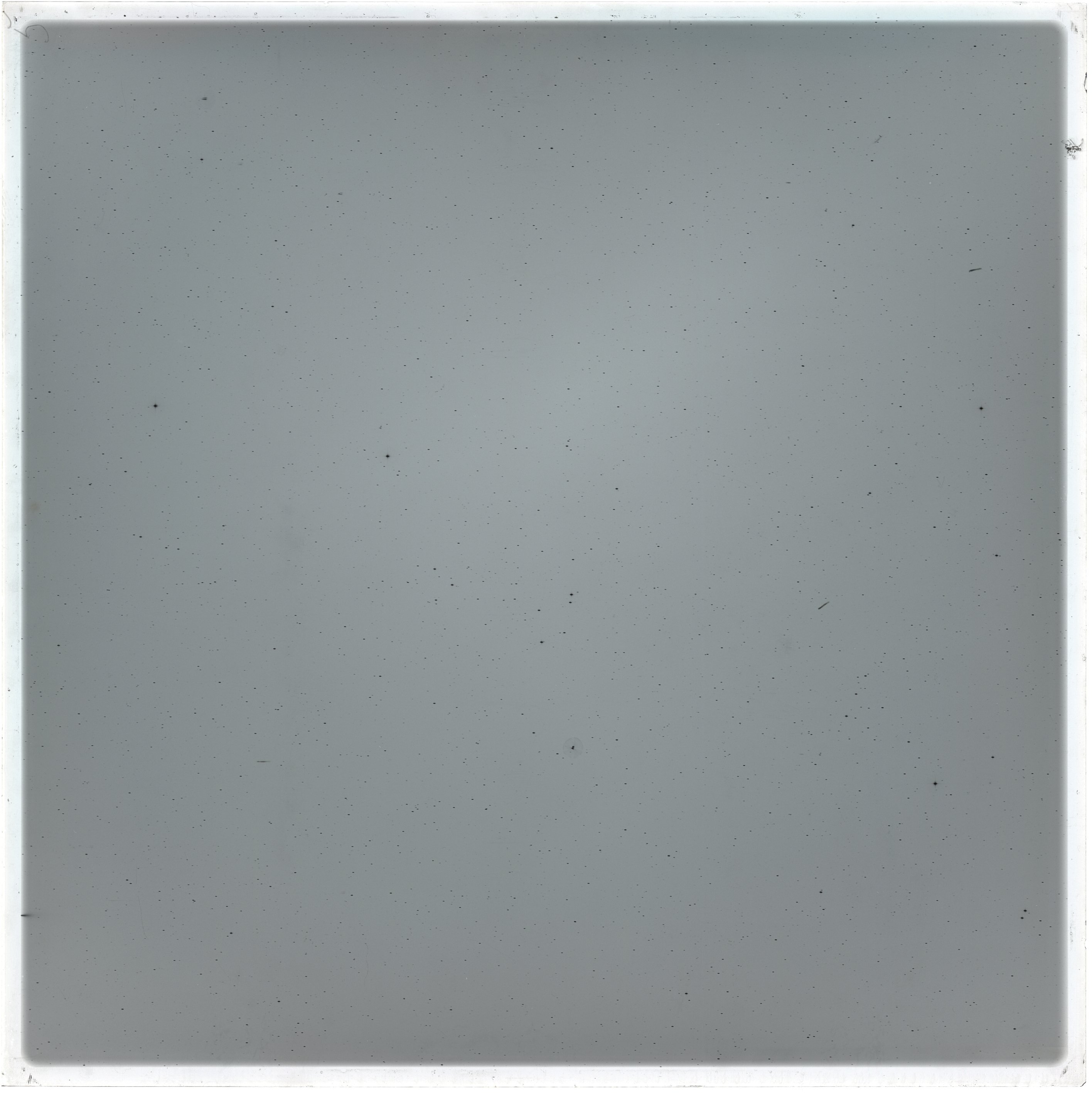 Plate preview
