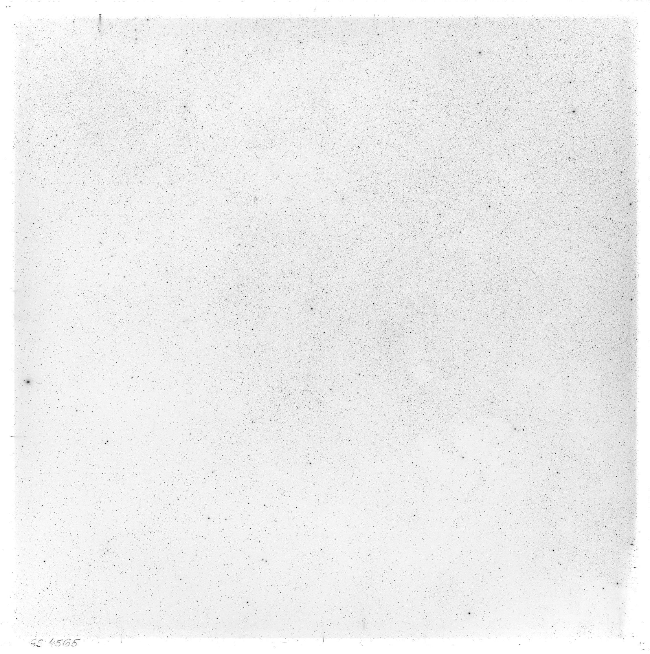 Plate preview