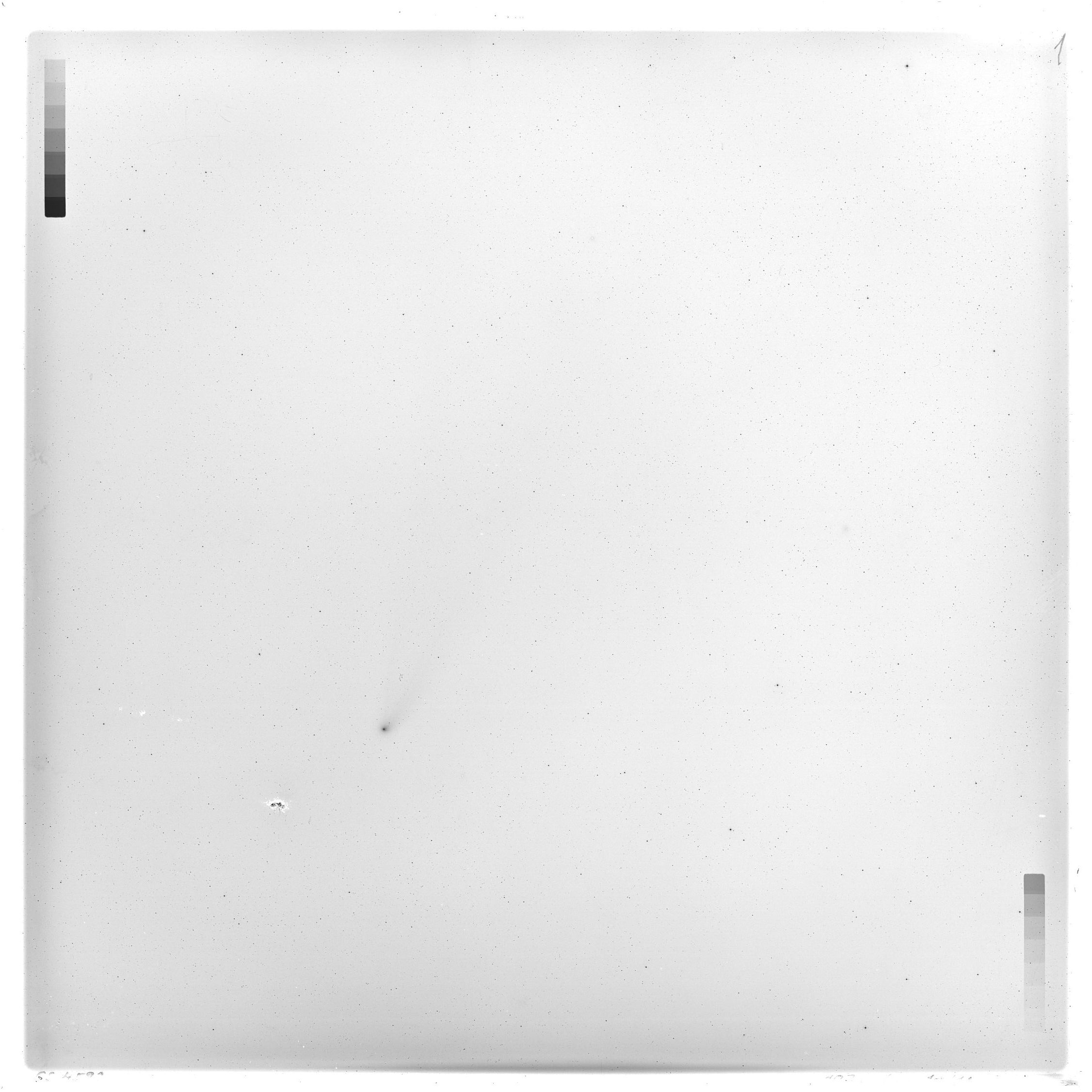 Plate preview