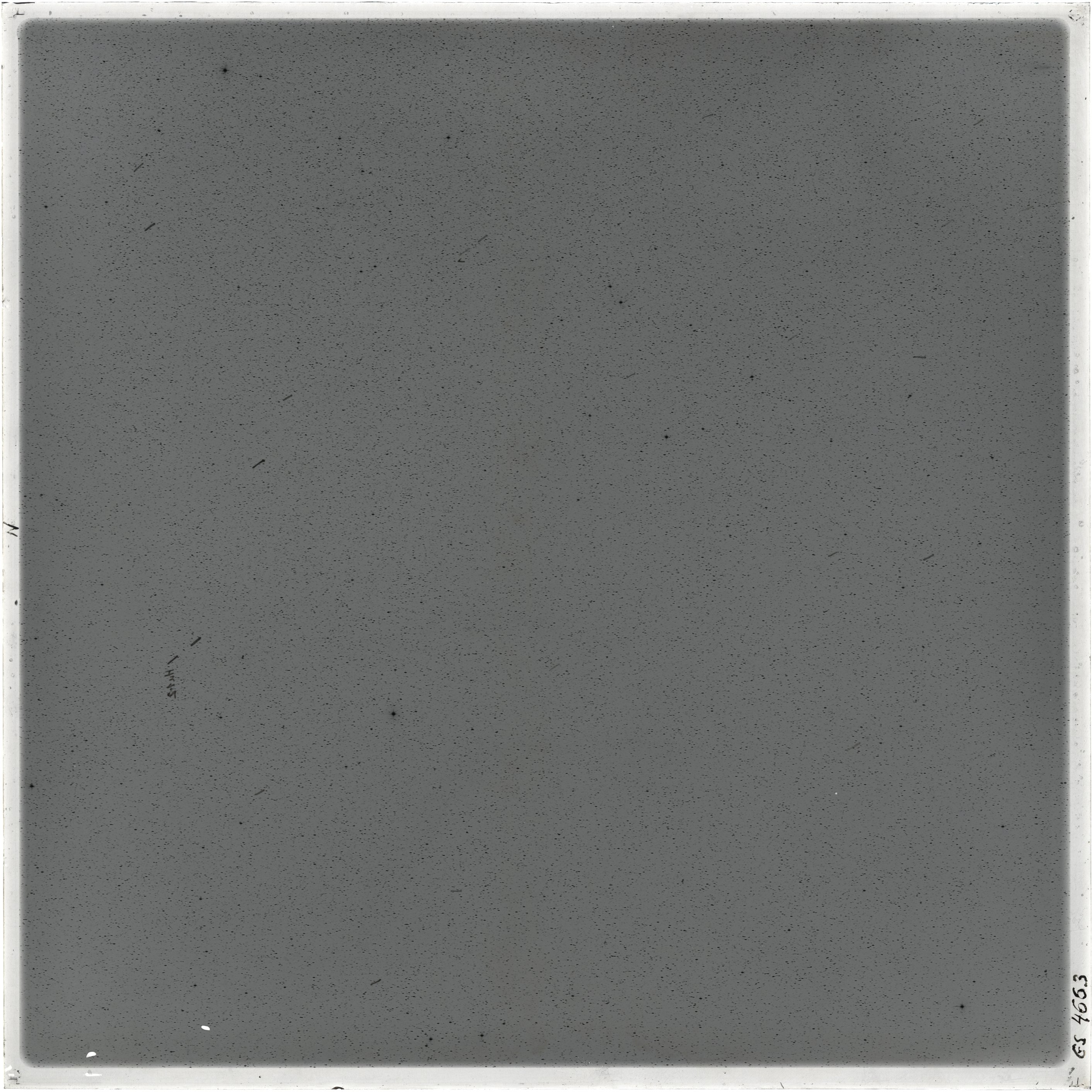 Plate preview