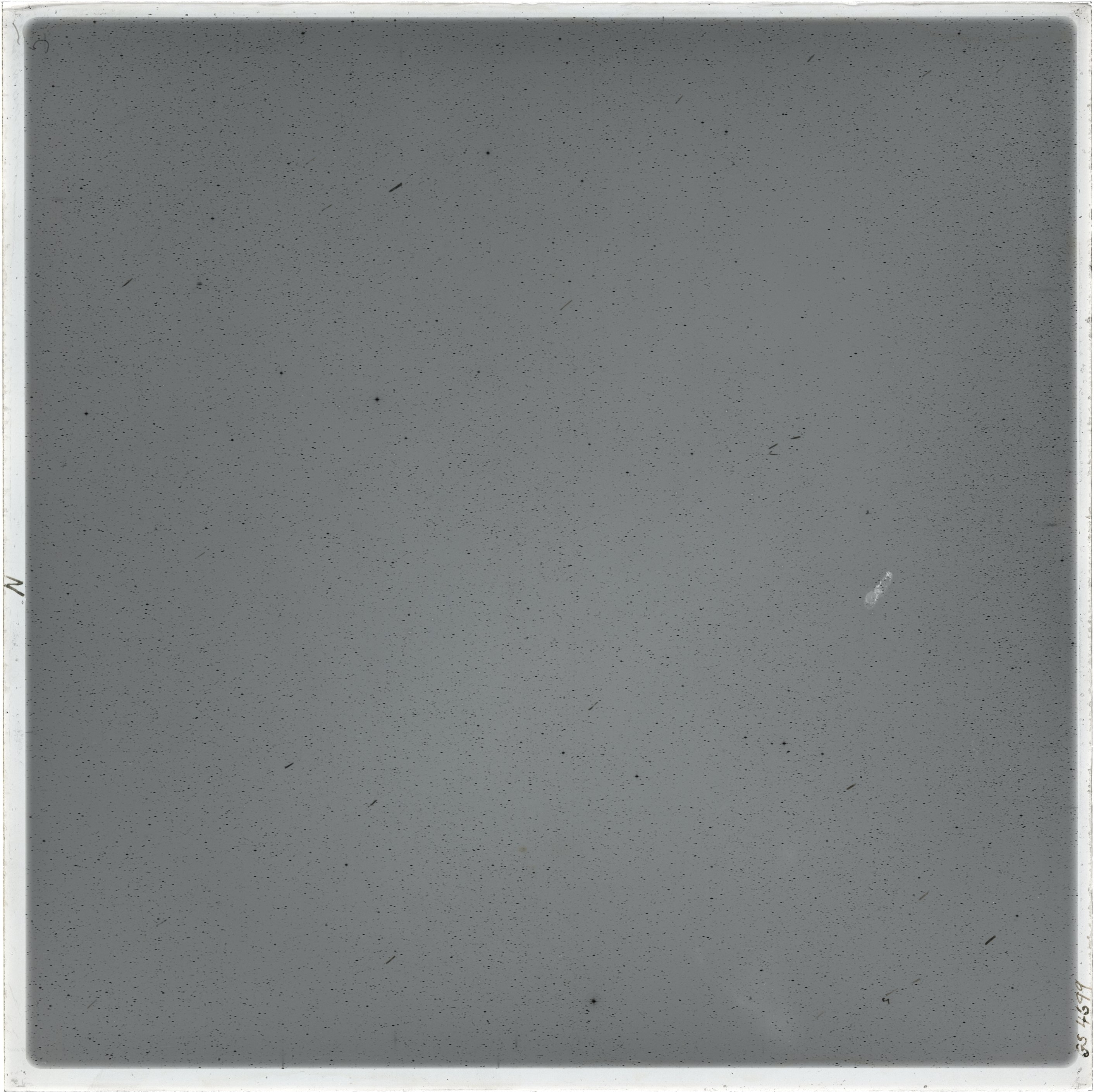 Plate preview