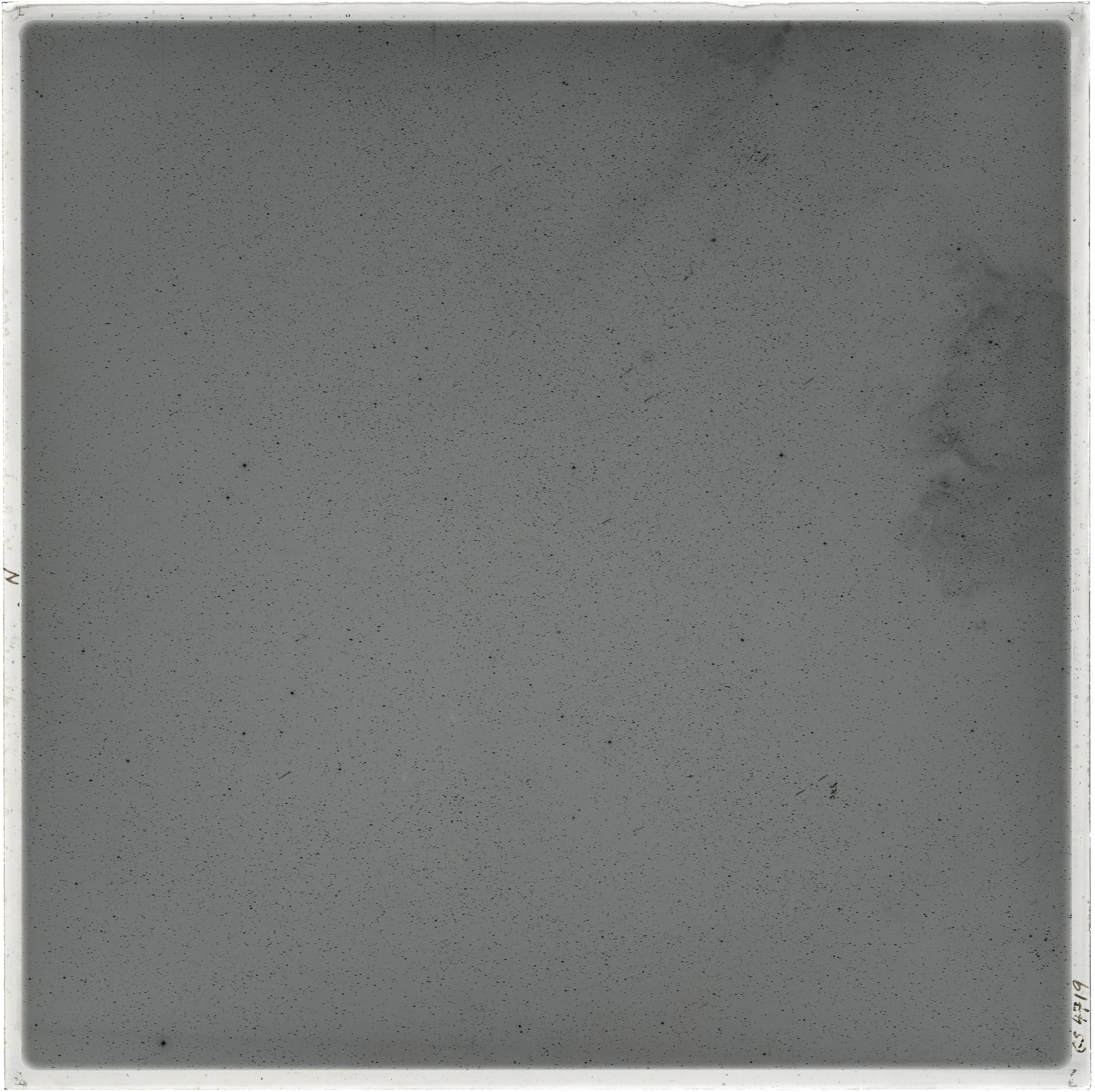 Plate preview