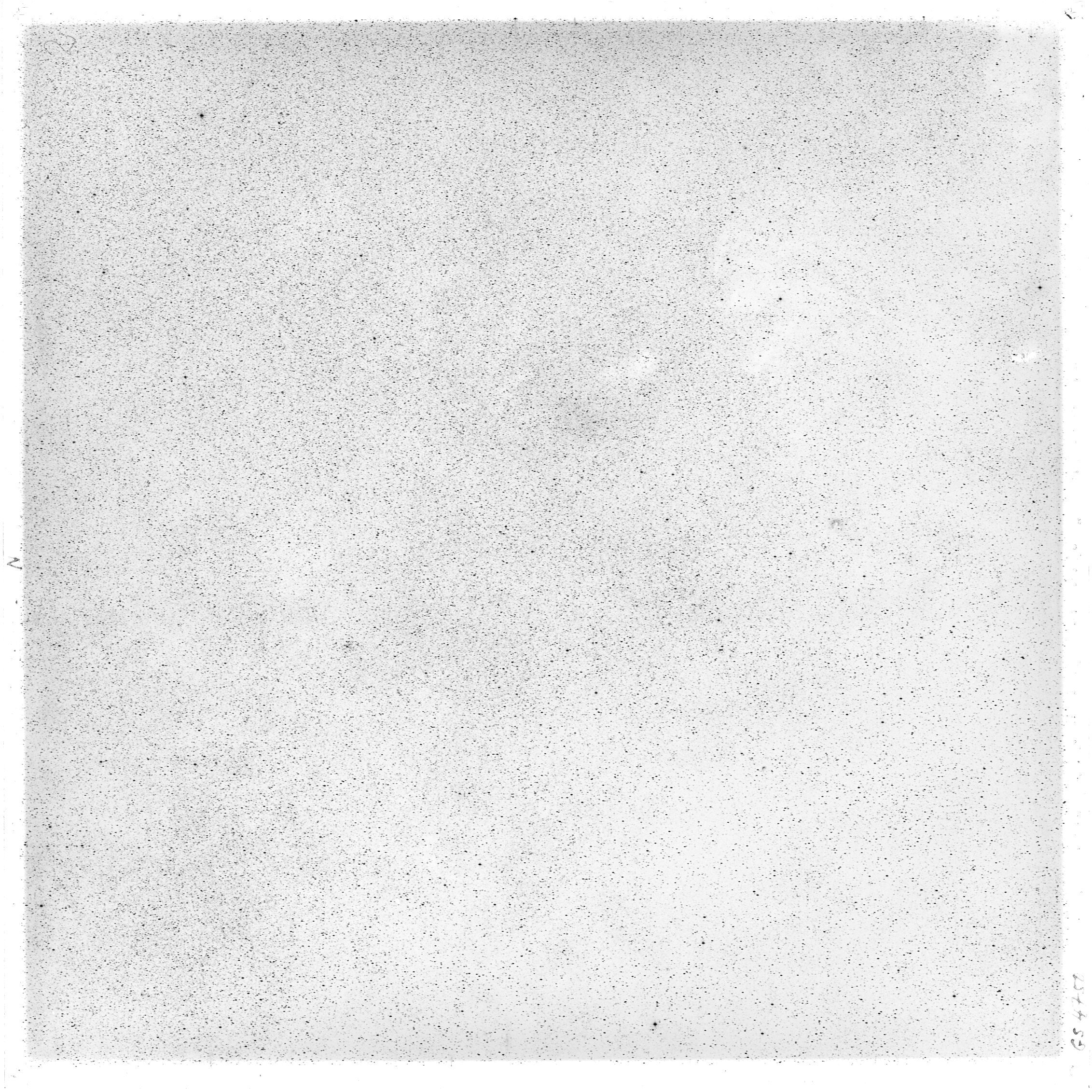 Plate preview