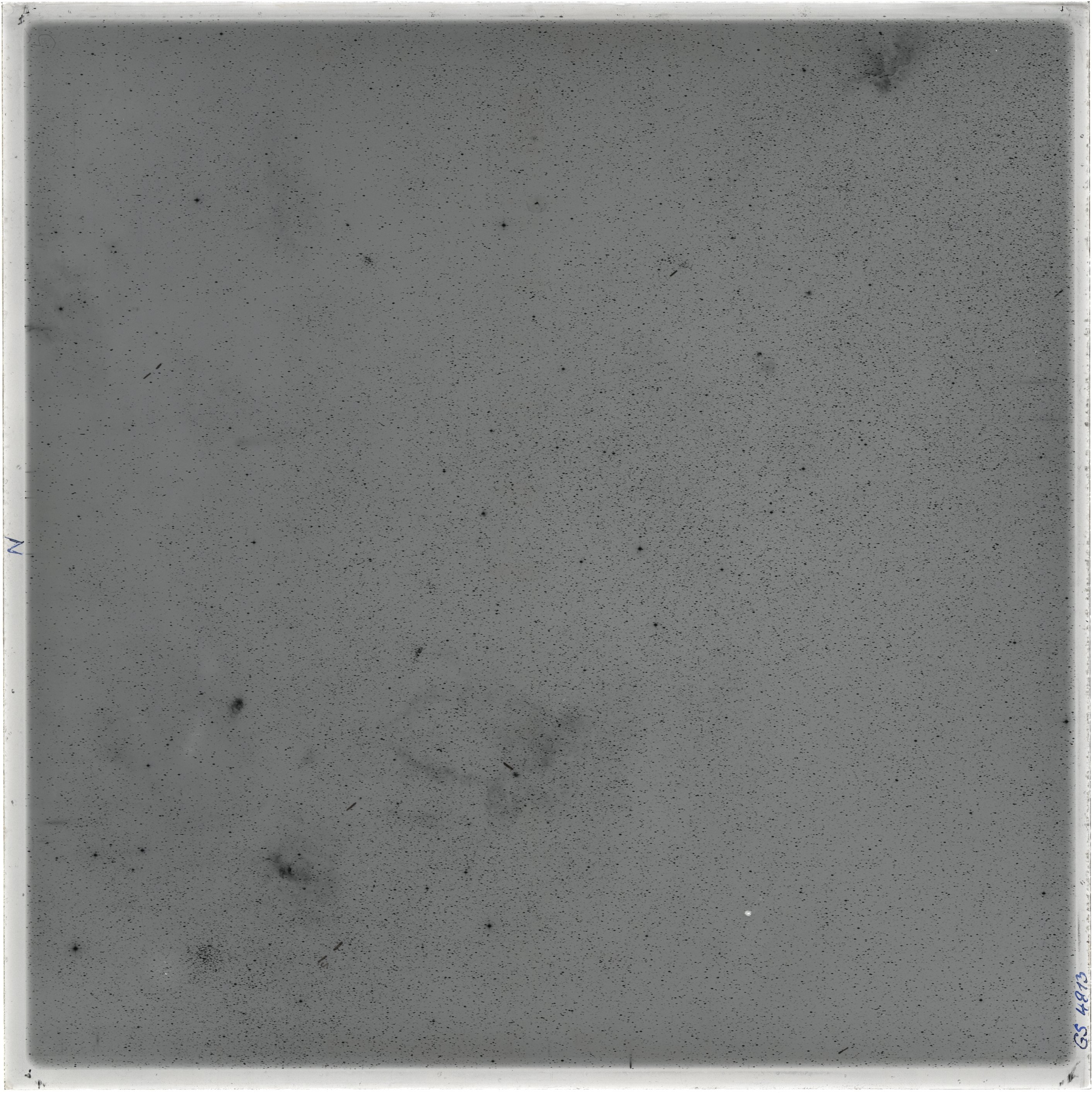 Plate preview