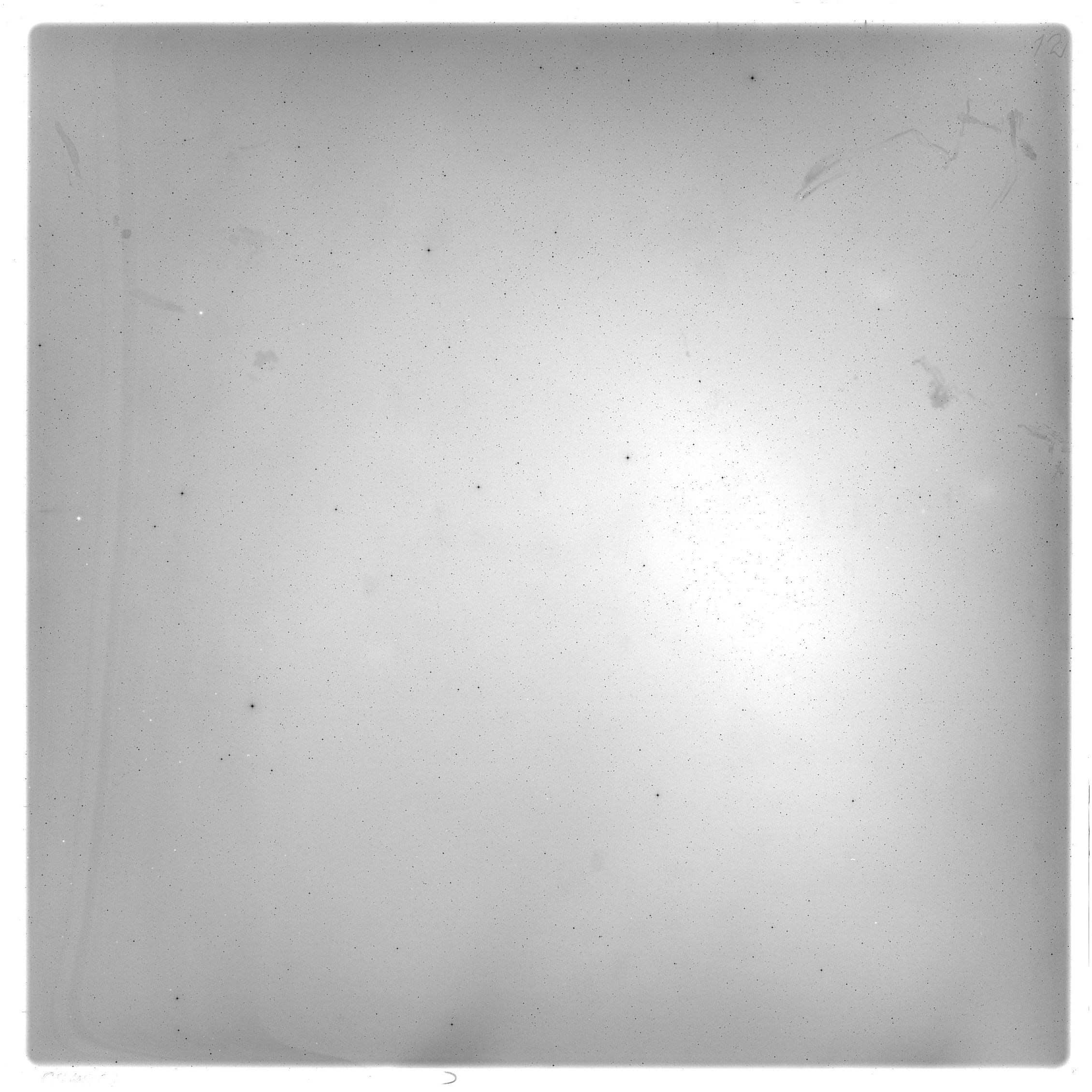 Plate preview