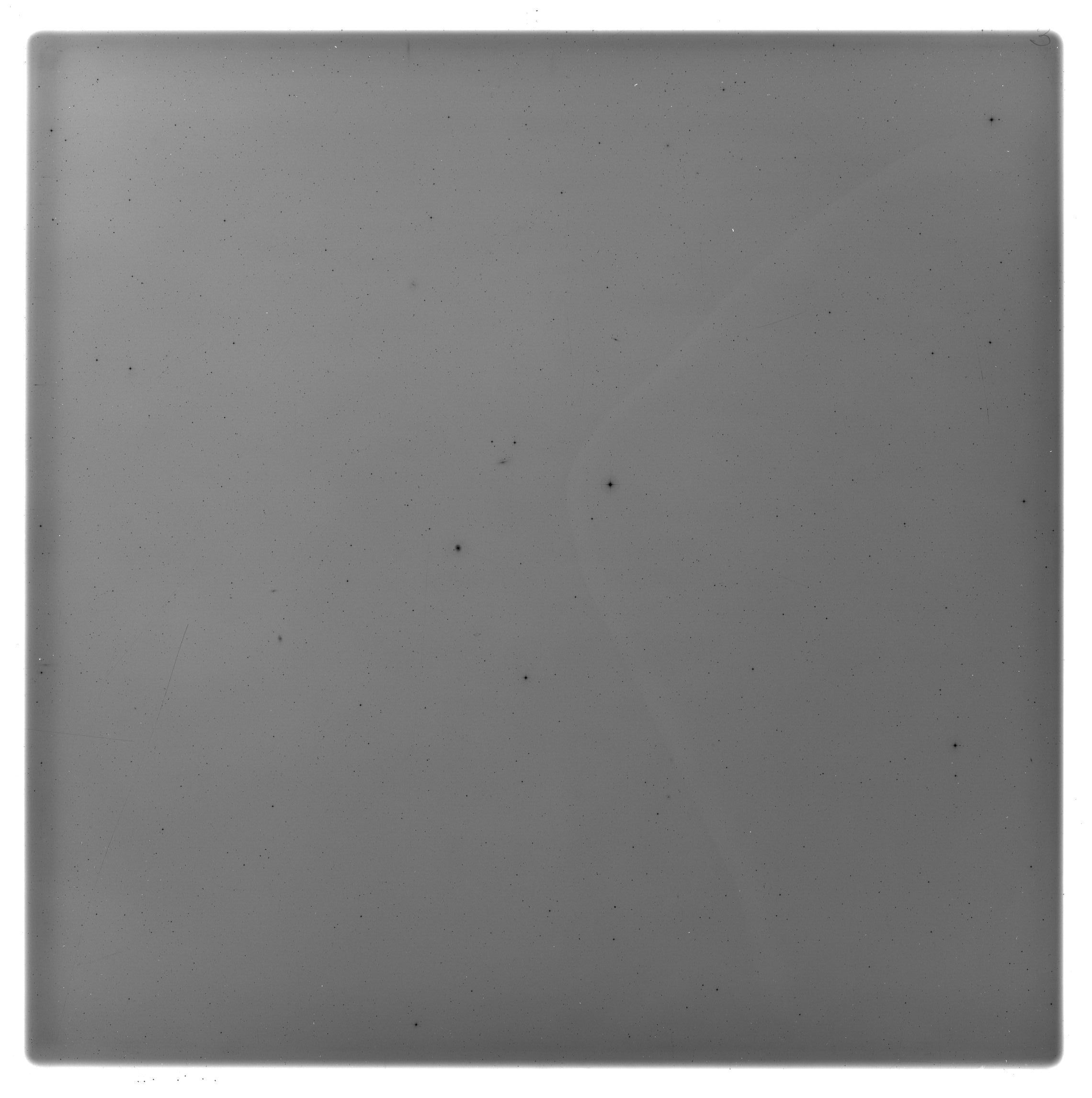 Plate preview