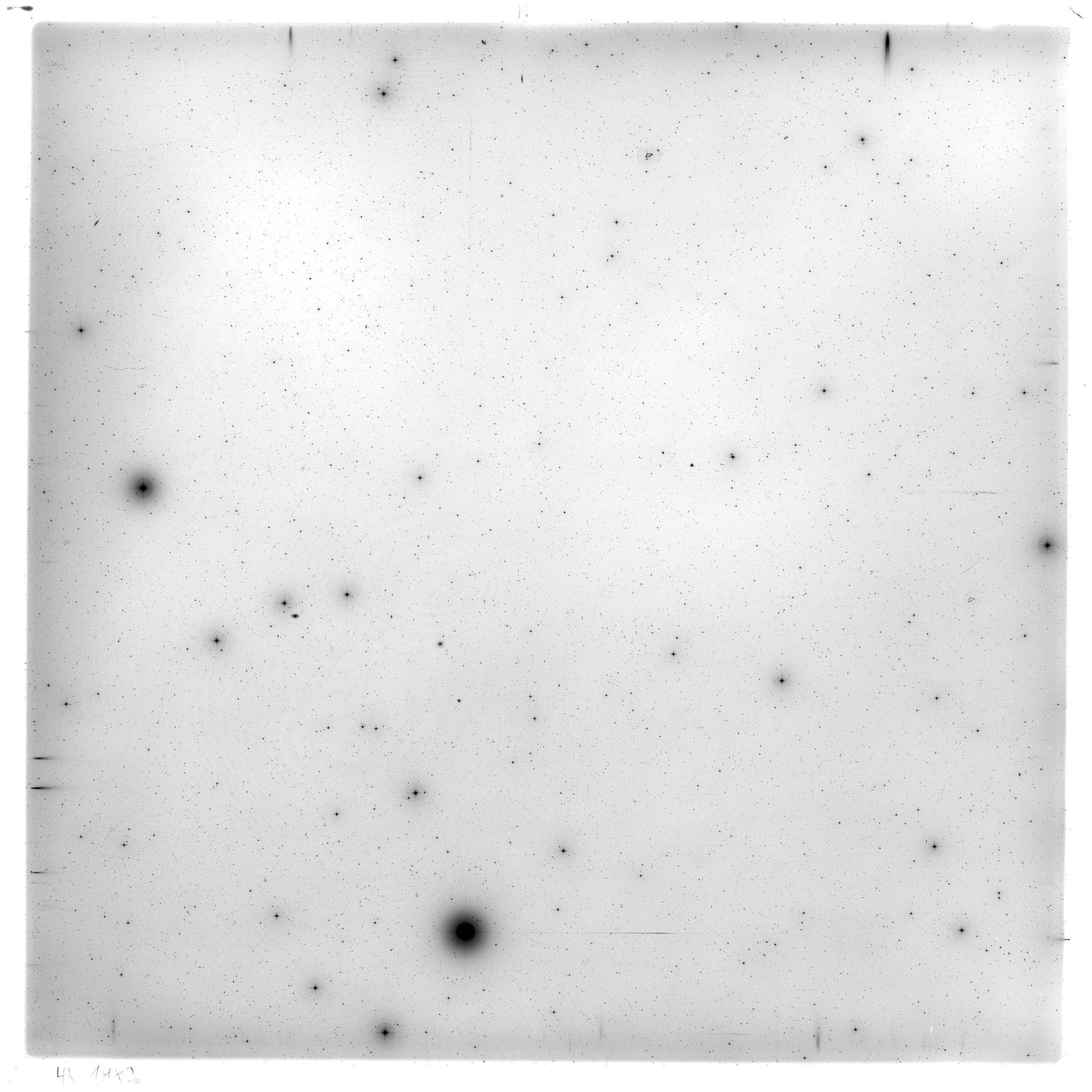 Plate preview