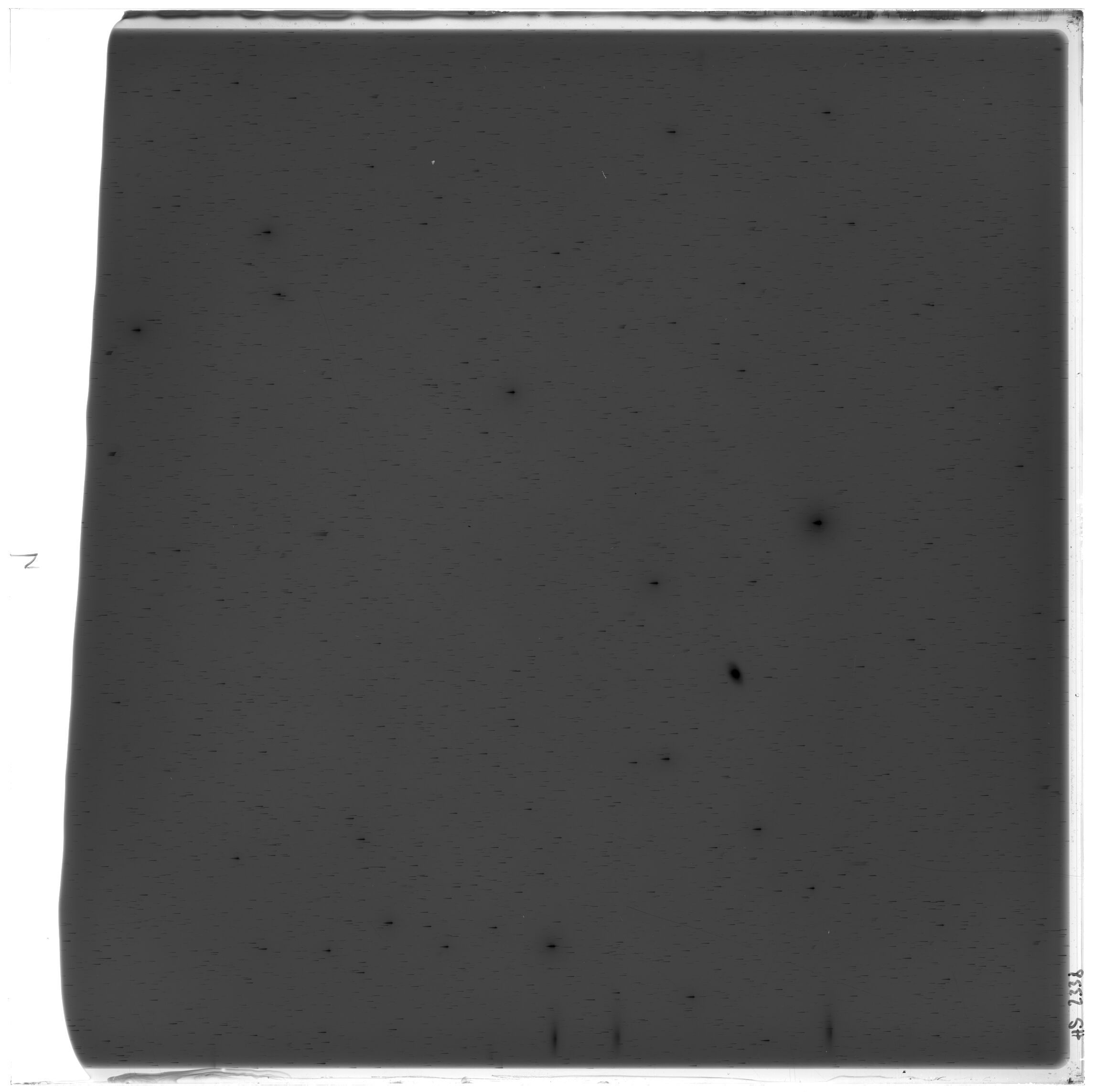 Plate preview
