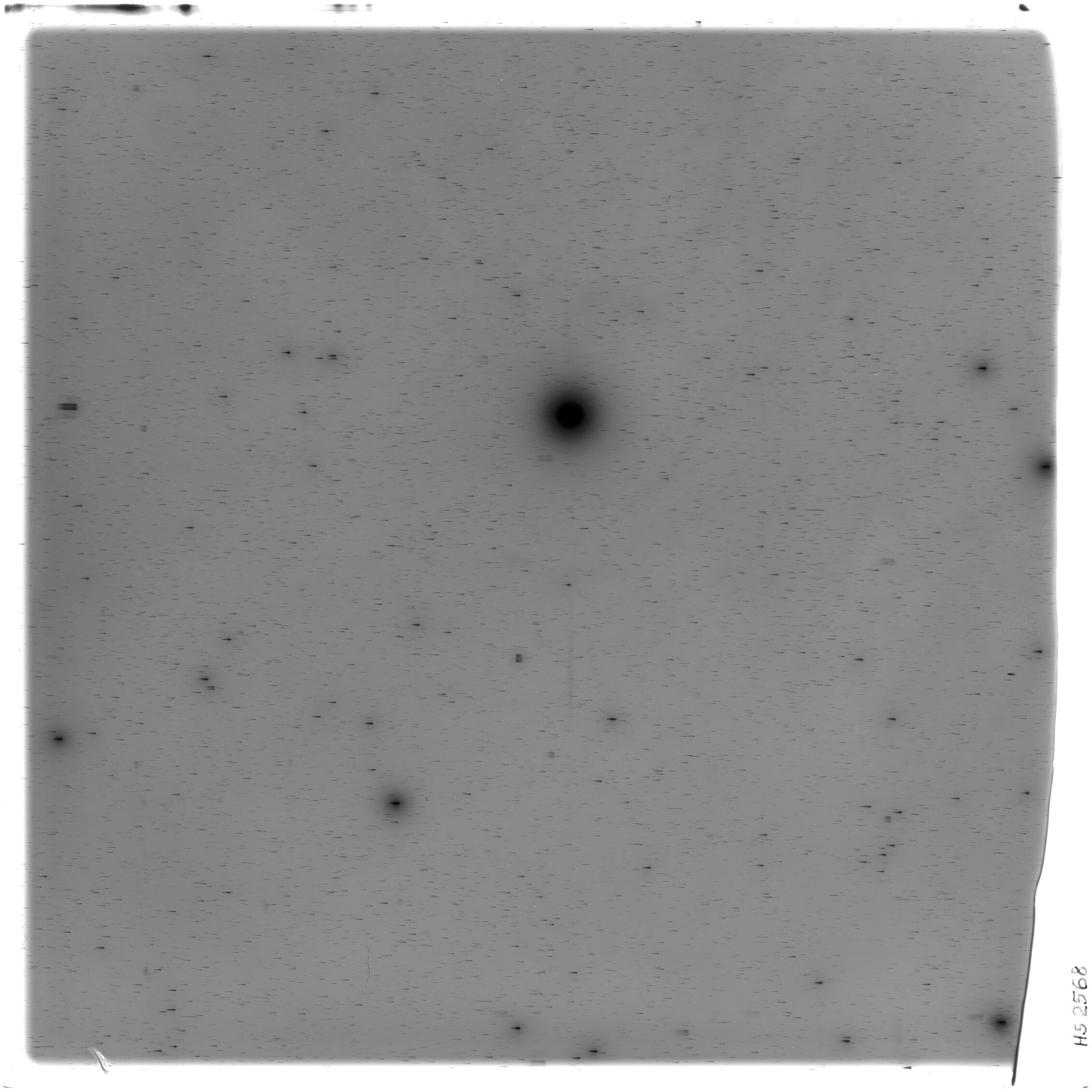 Plate preview