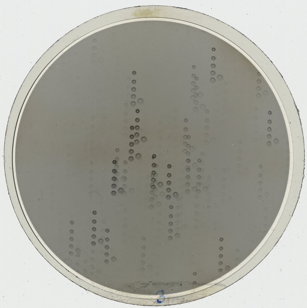 Plate preview