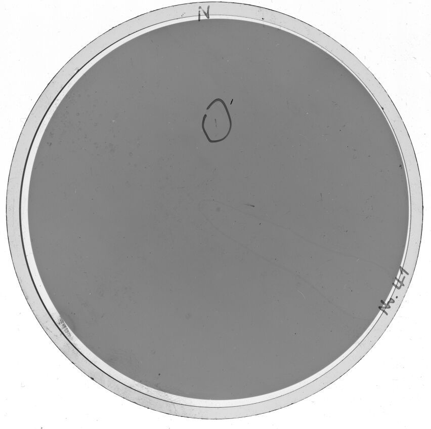 Plate preview