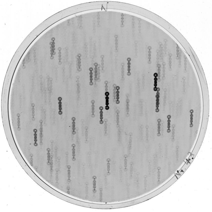Plate preview