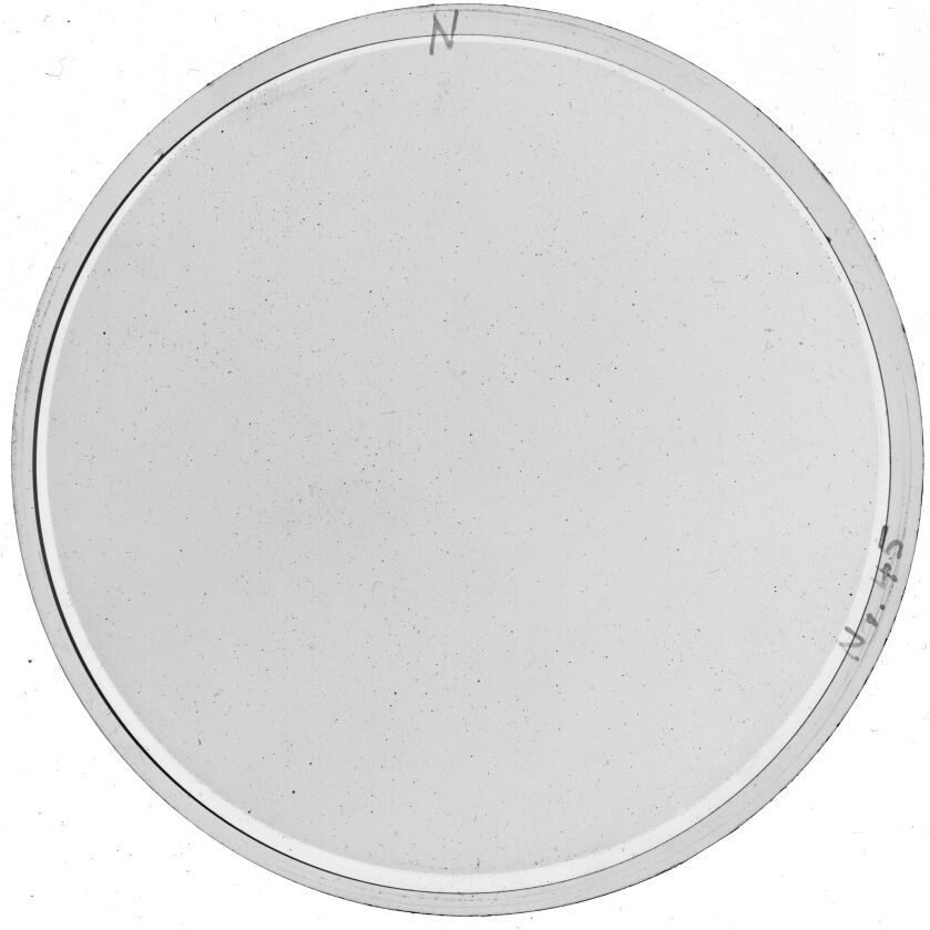 Plate preview