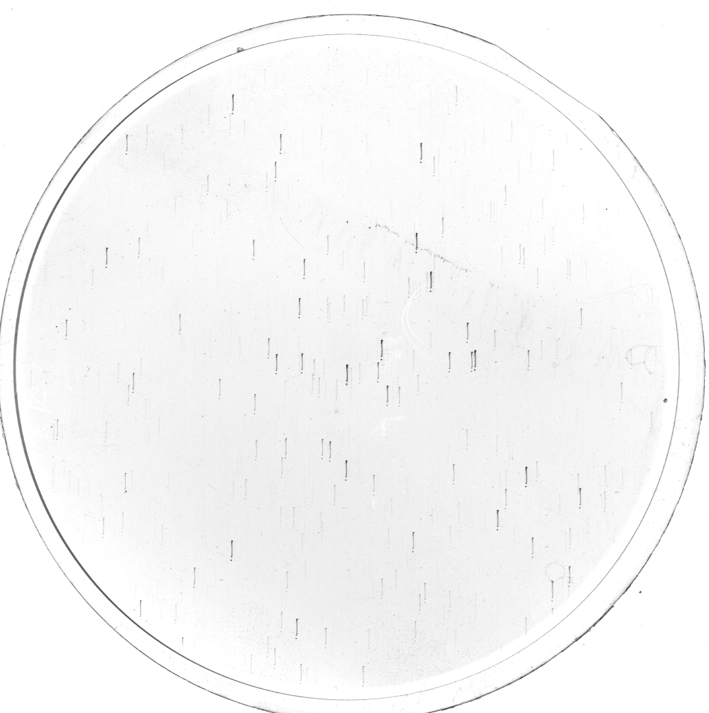 Plate preview