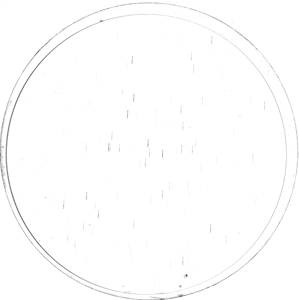 Plate preview