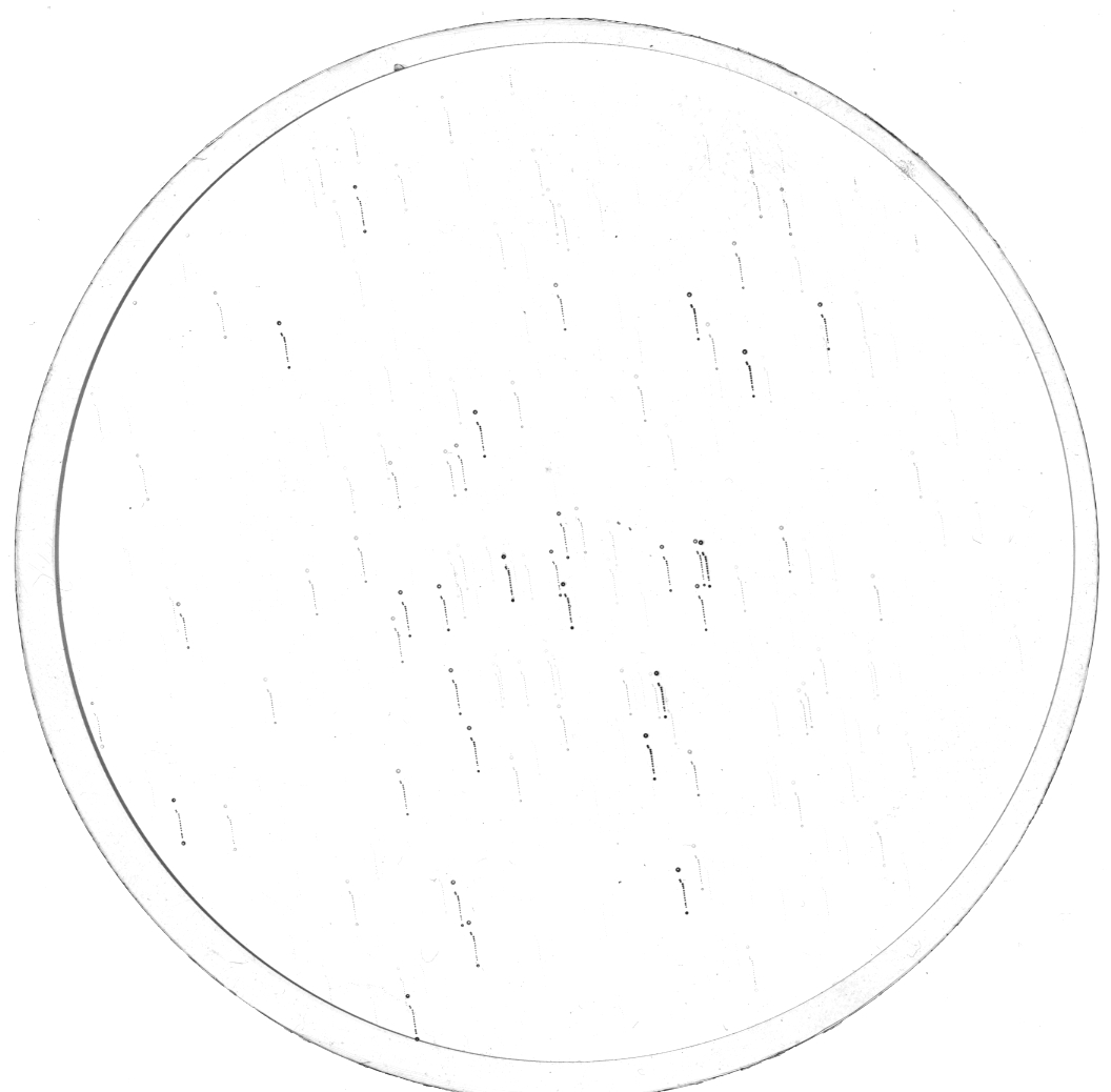 Plate preview