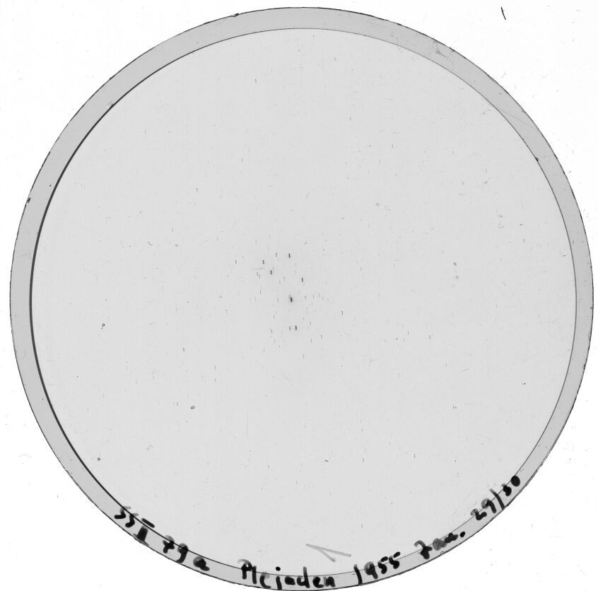 Plate preview