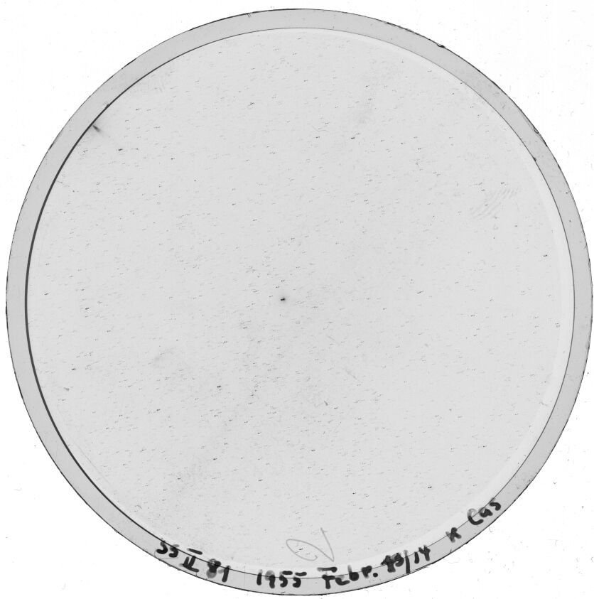 Plate preview