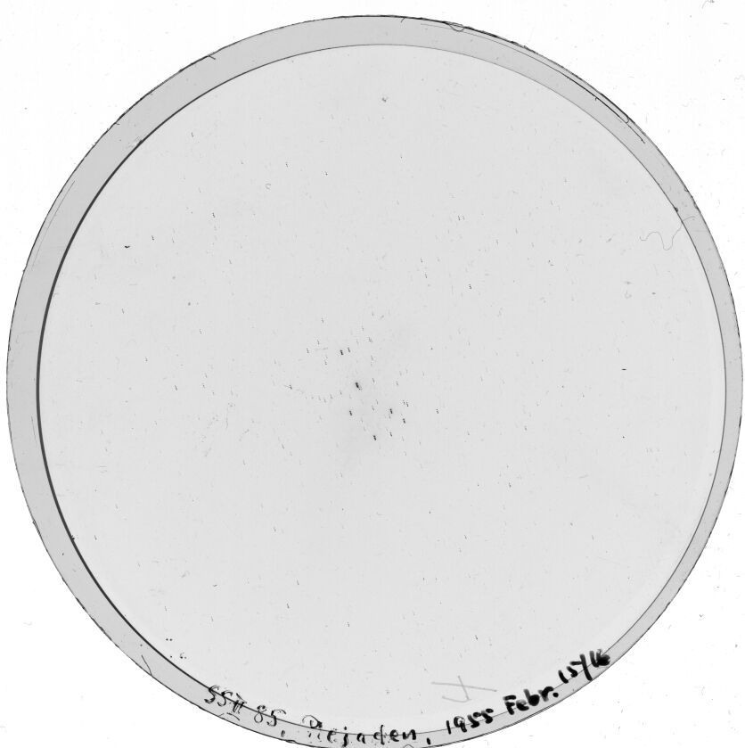 Plate preview